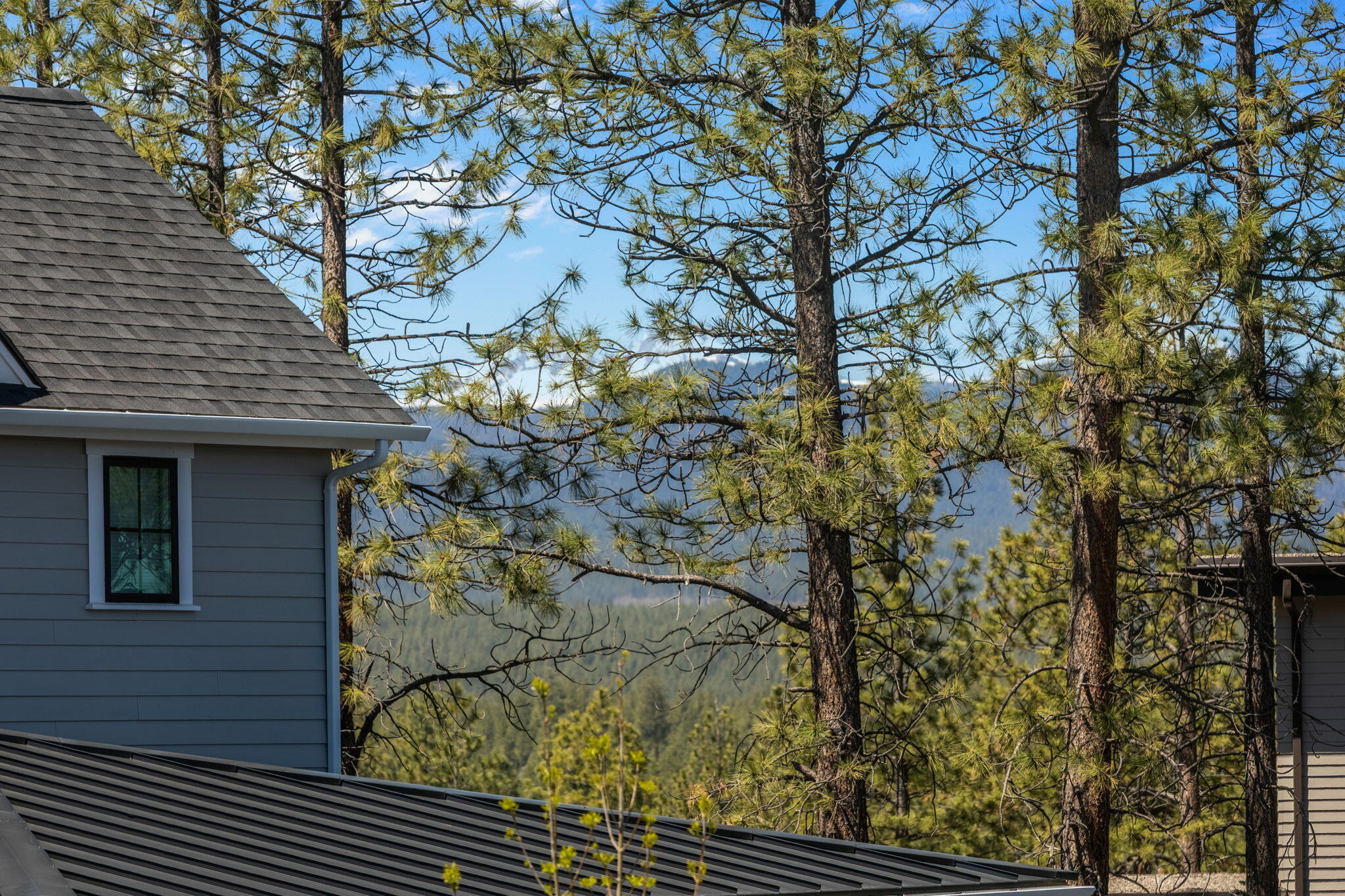 Shevlin West - Residential