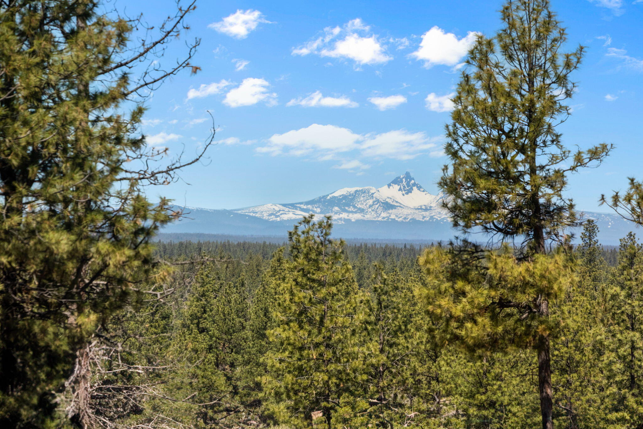 Shevlin West - Residential