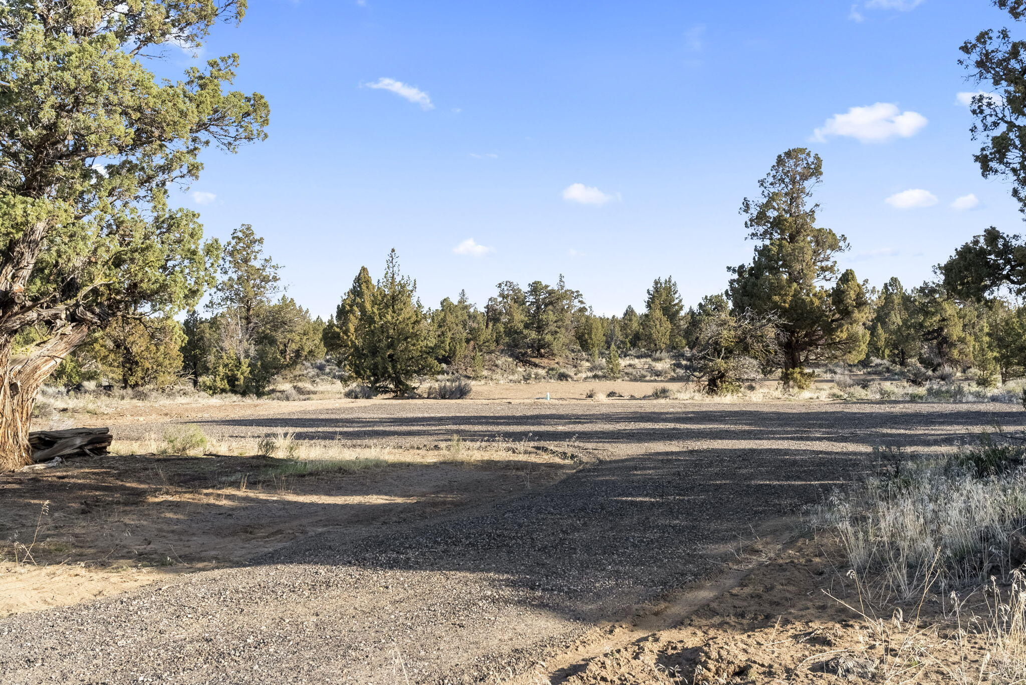 Badlands Ranch - Land