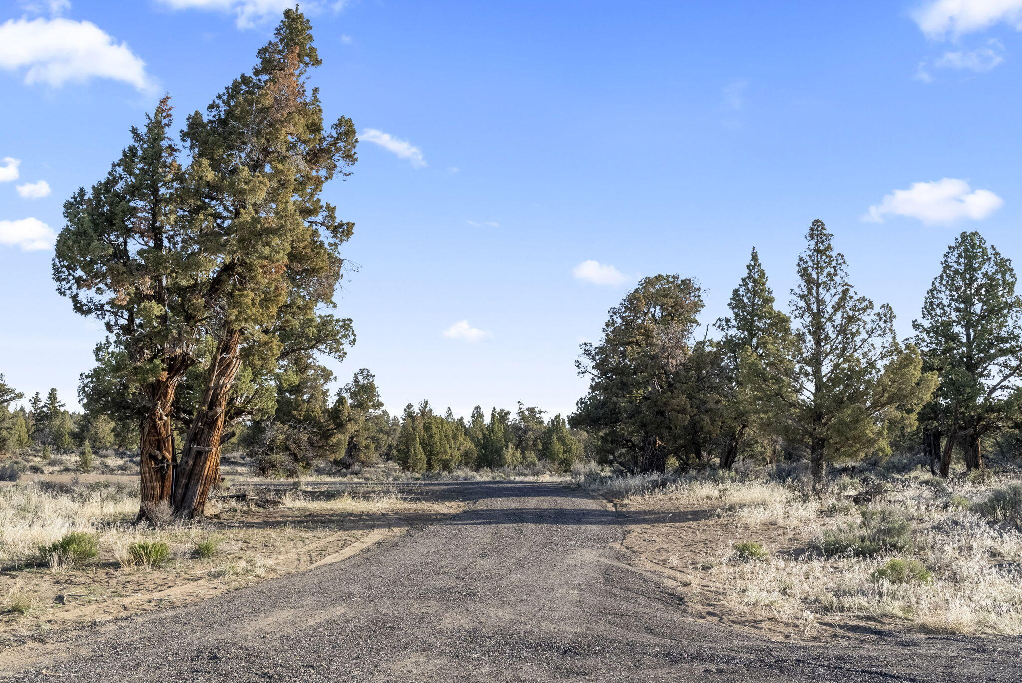 Badlands Ranch - Land