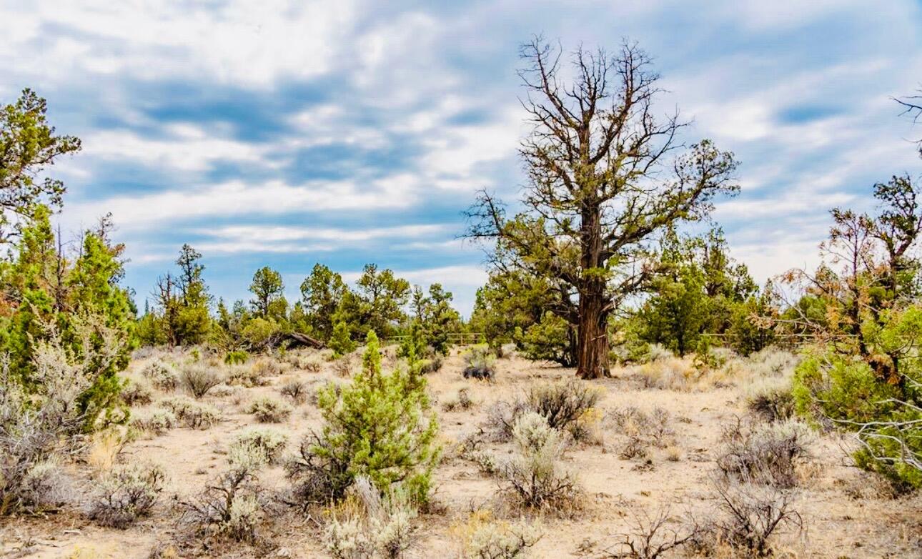 Badlands Ranch - Land