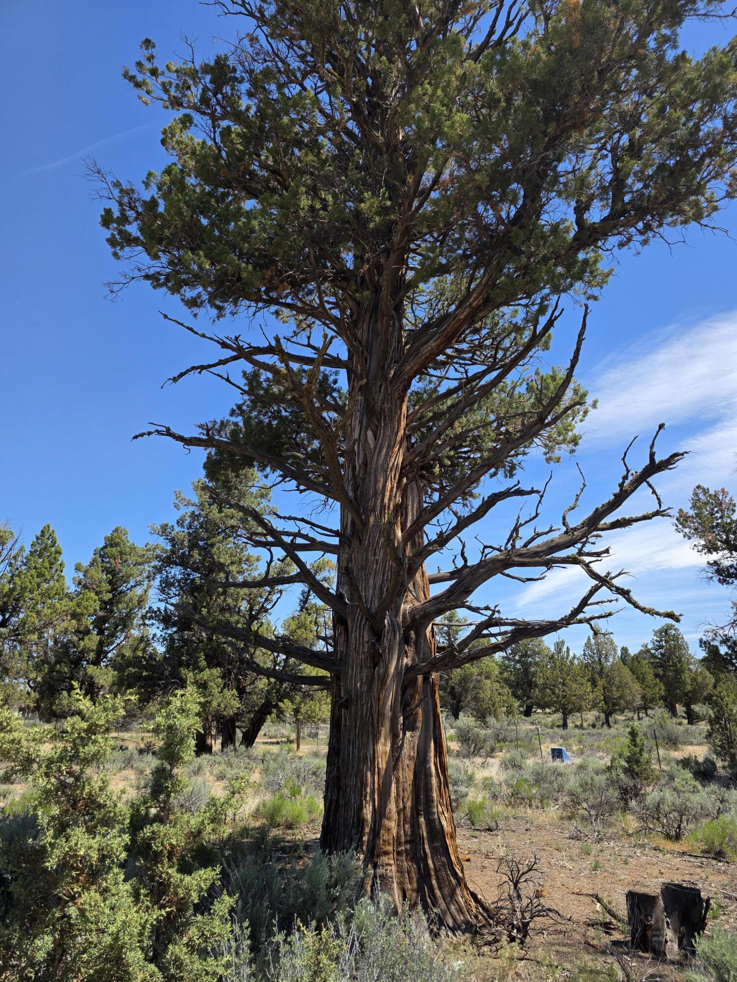 Badlands Ranch - Land