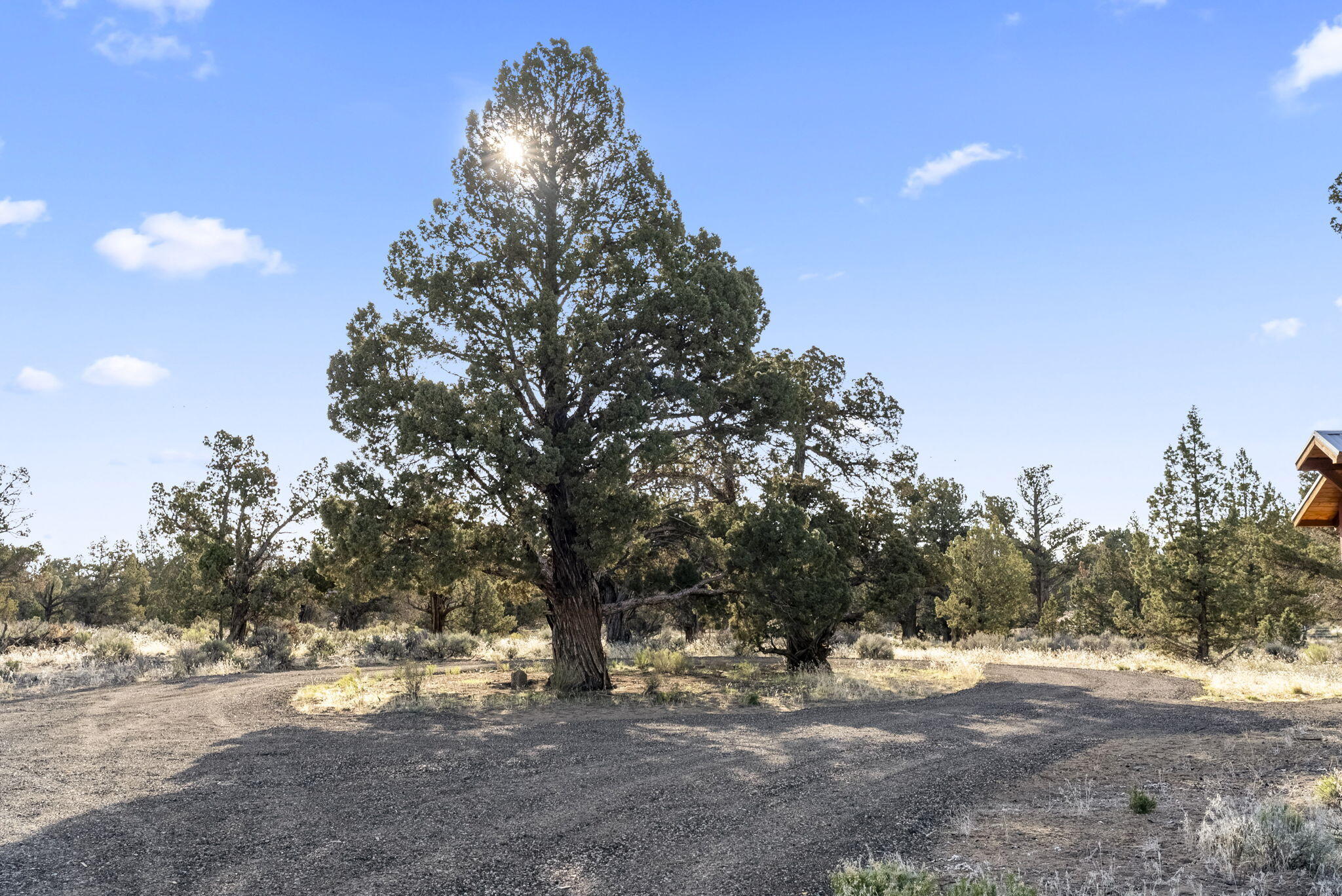 Badlands Ranch - Land