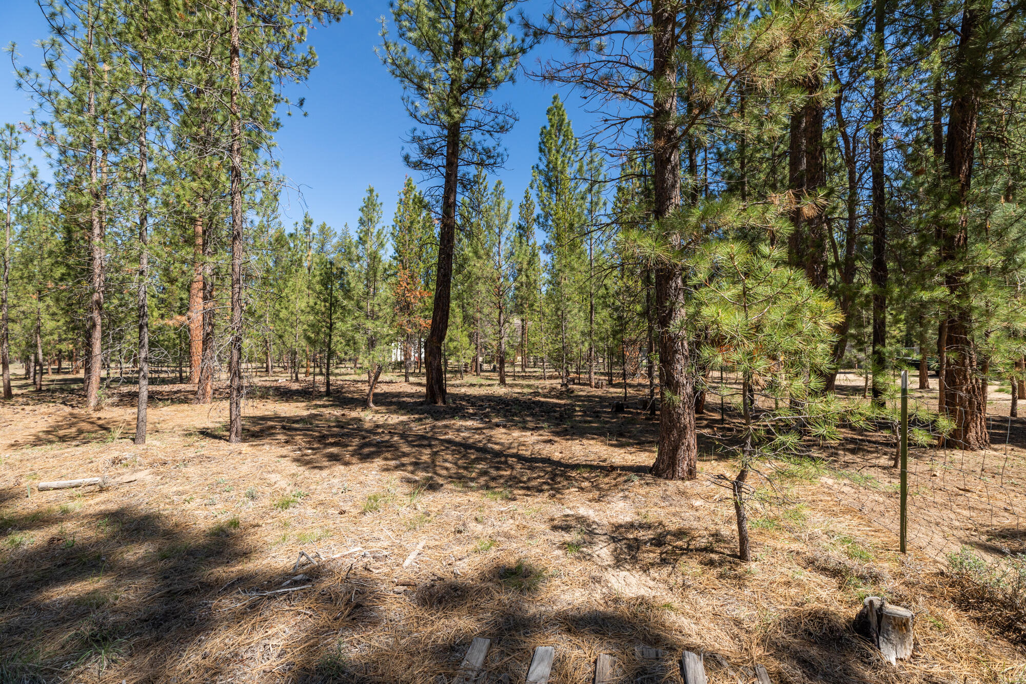 Wagon Trail Acreages - Land