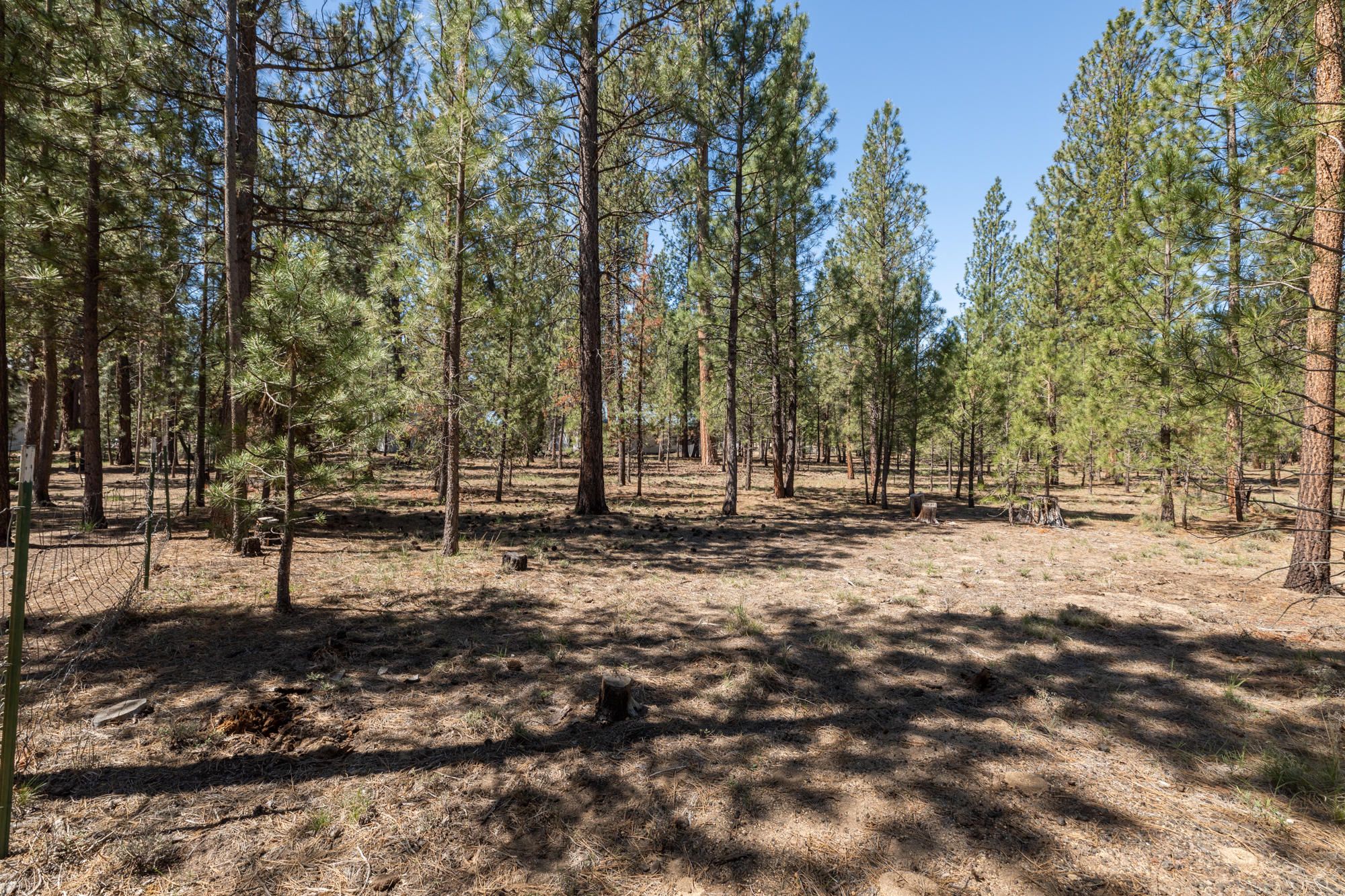 Wagon Trail Acreages - Land
