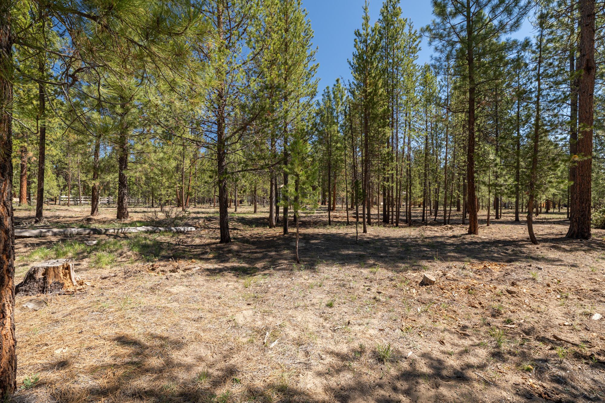 Wagon Trail Acreages - Land