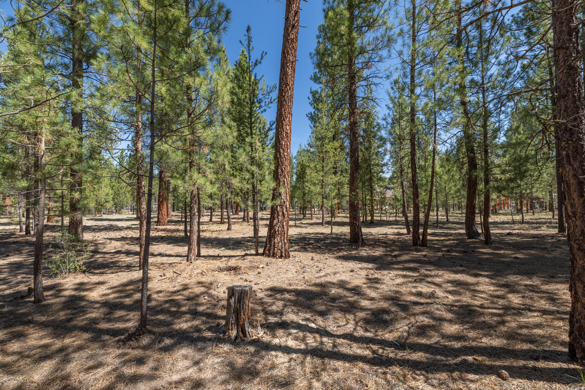 Wagon Trail Acreages - Land