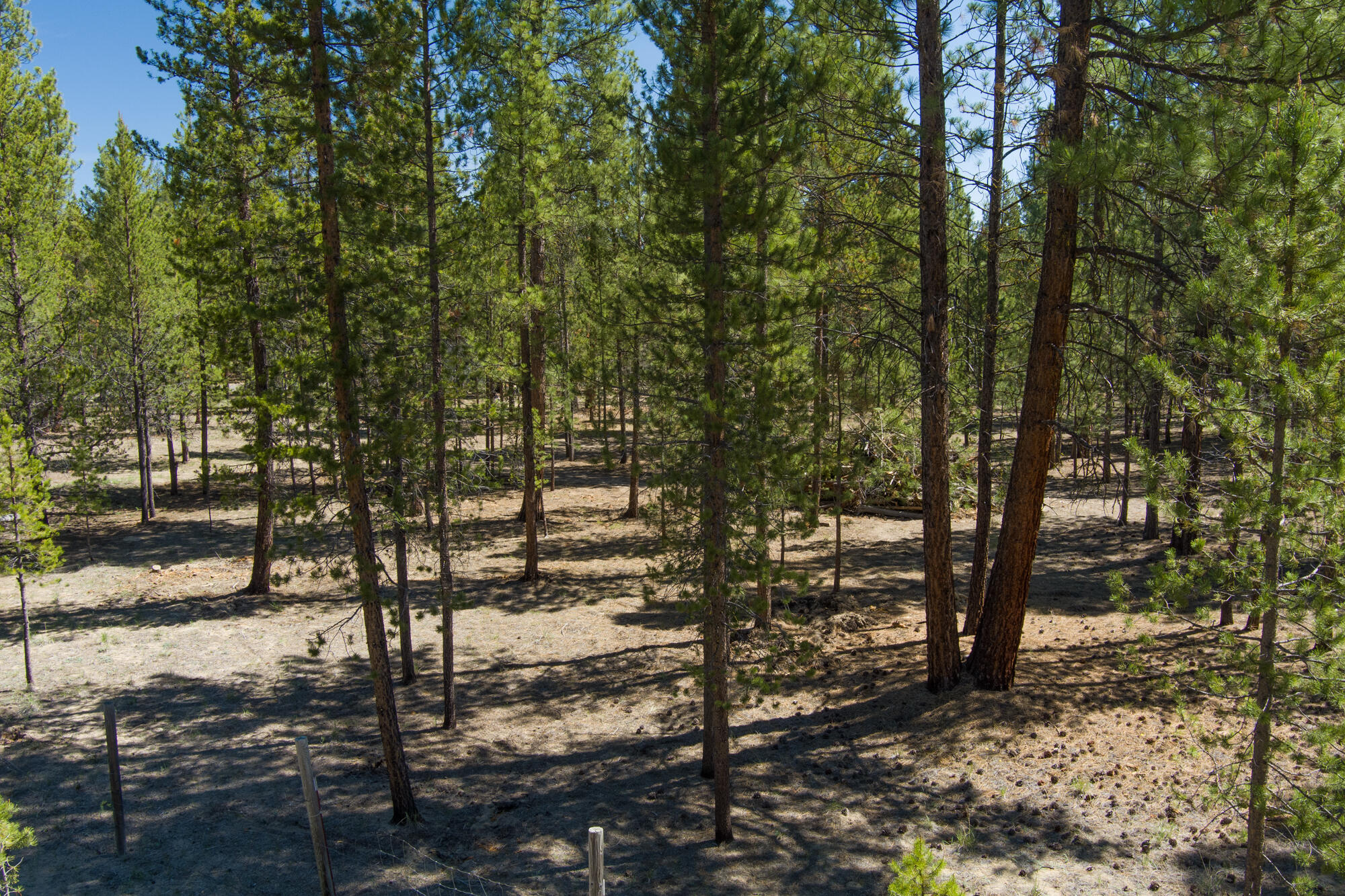 Wagon Trail Acreages - Land