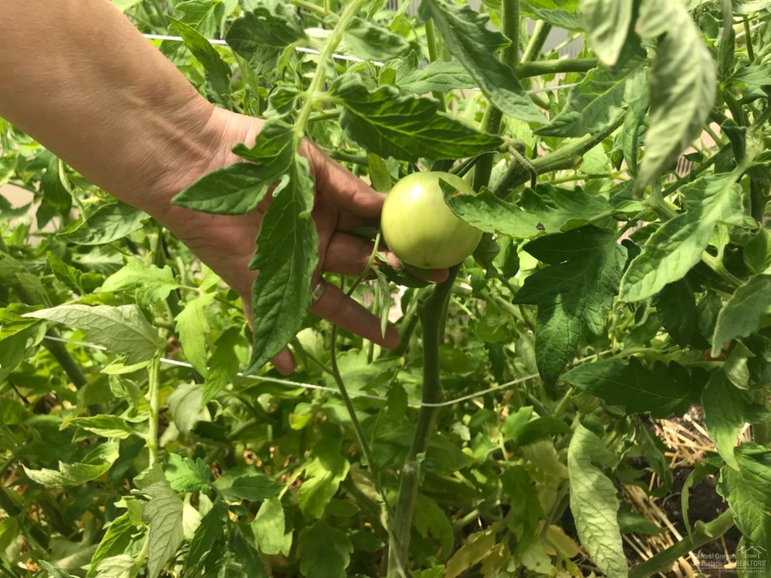 Gilchrist Townsite - Residential