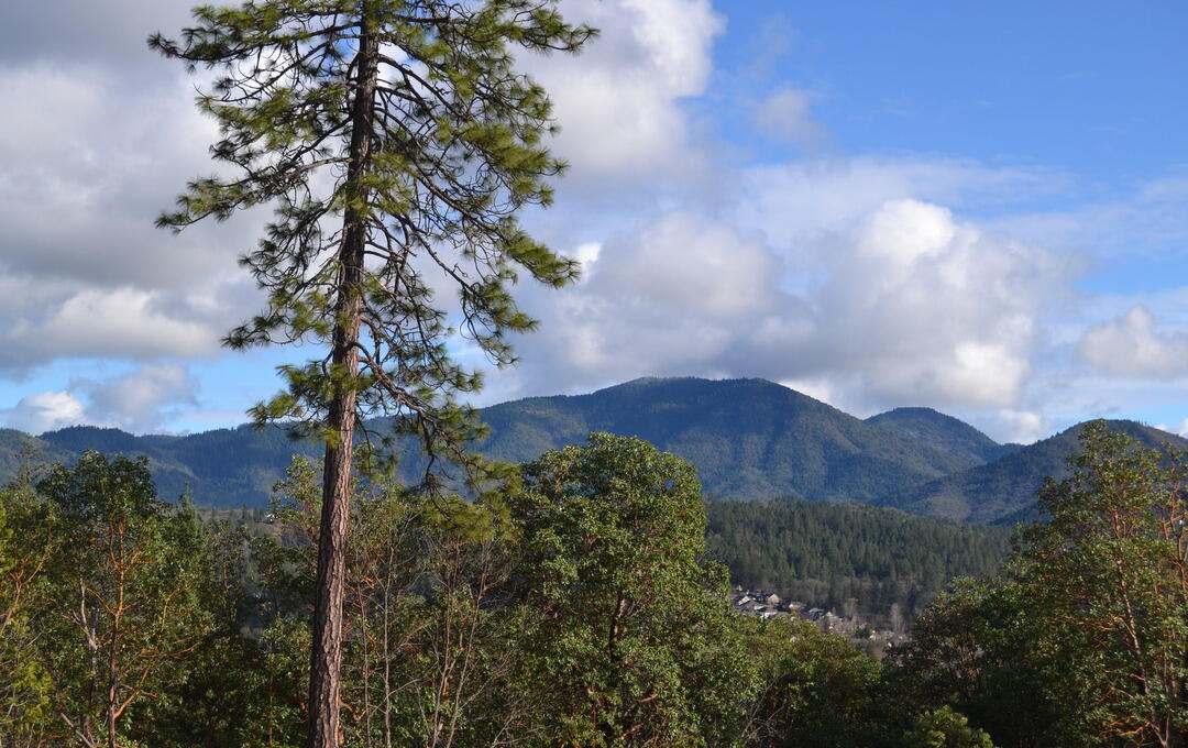 Sylvan Heights - Land