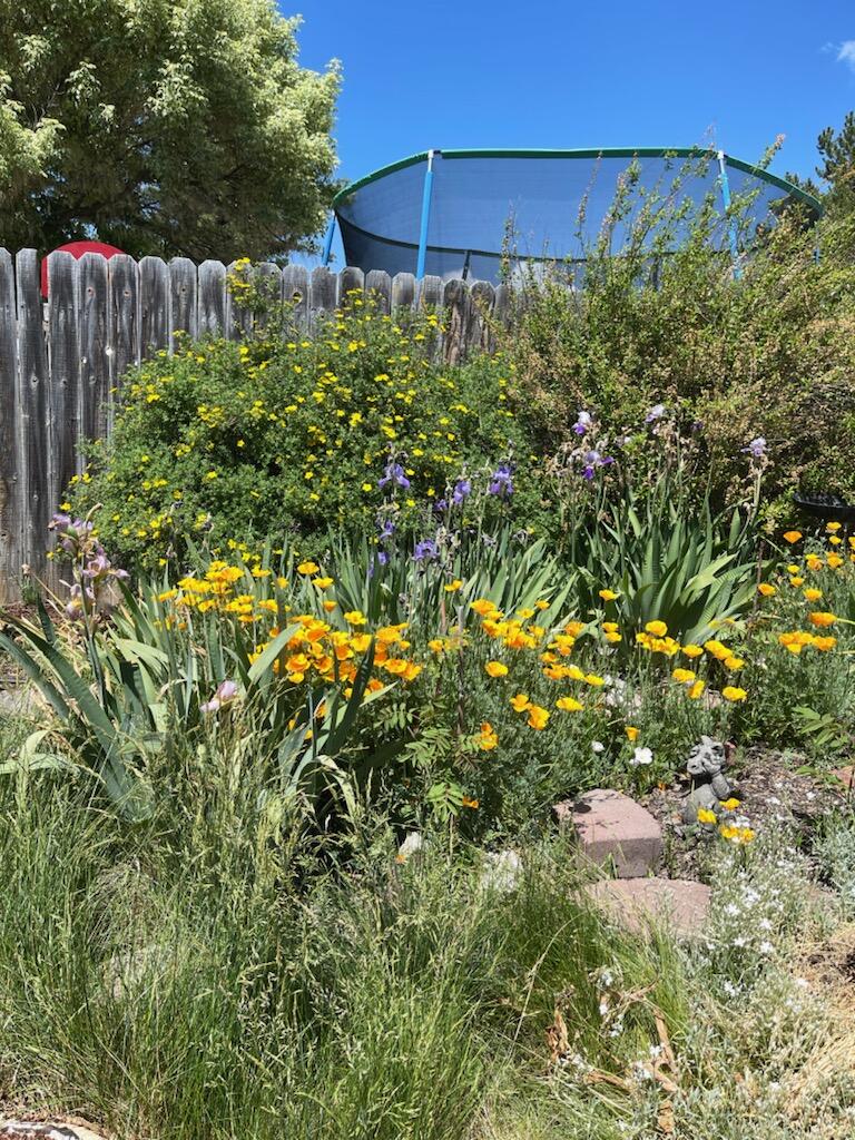 Falcon Heights Condominiums -Stage I - Residential