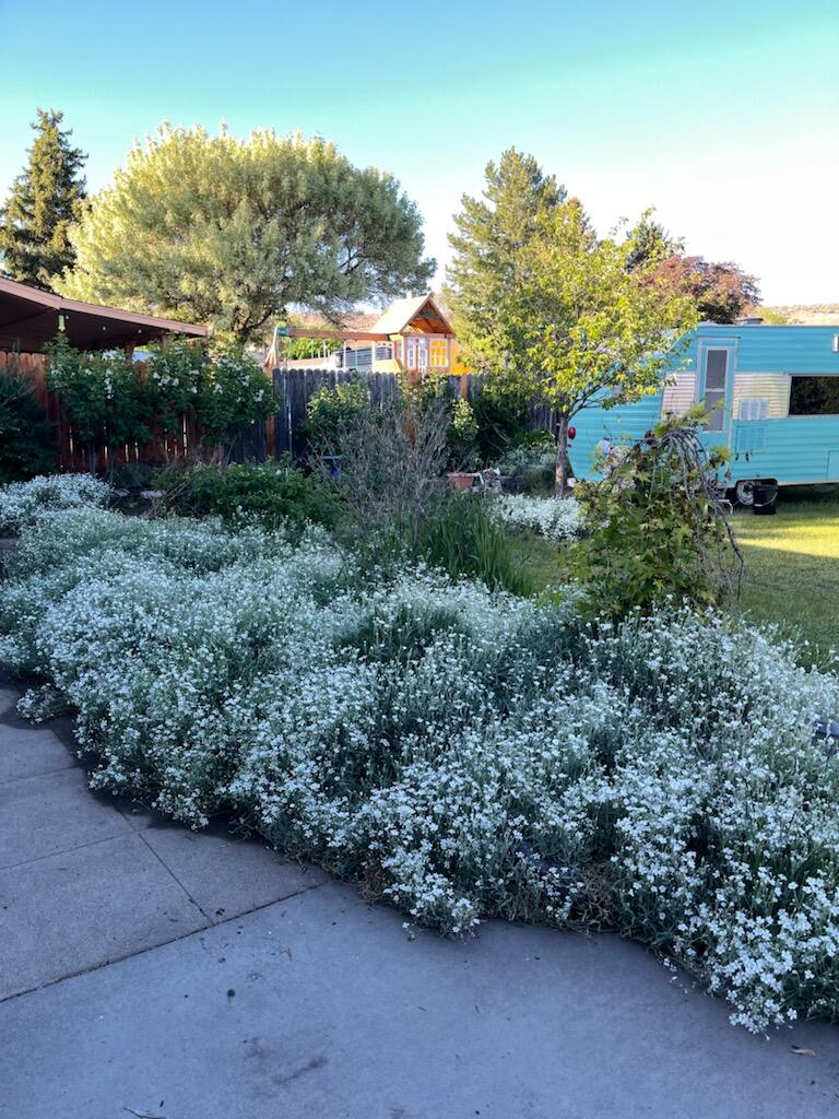 Falcon Heights Condominiums -Stage I - Residential