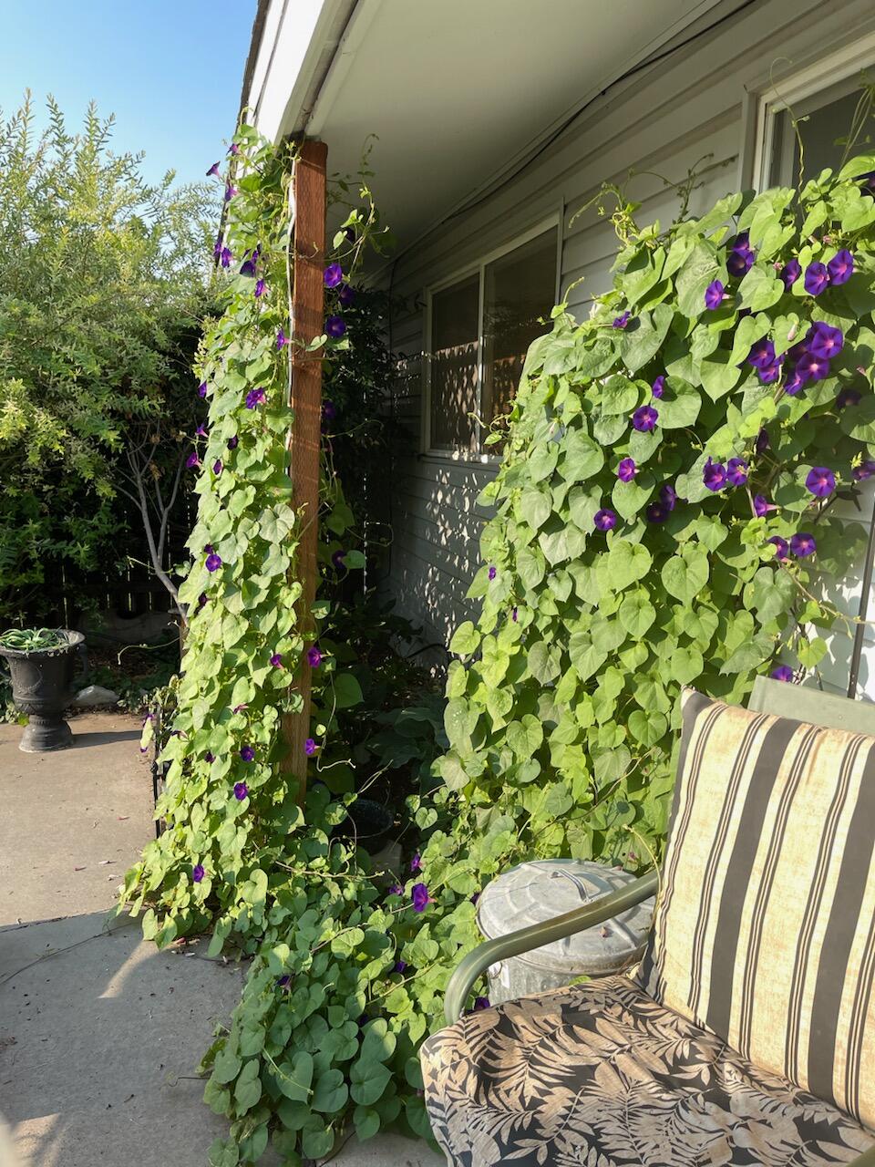 Falcon Heights Condominiums -Stage I - Residential