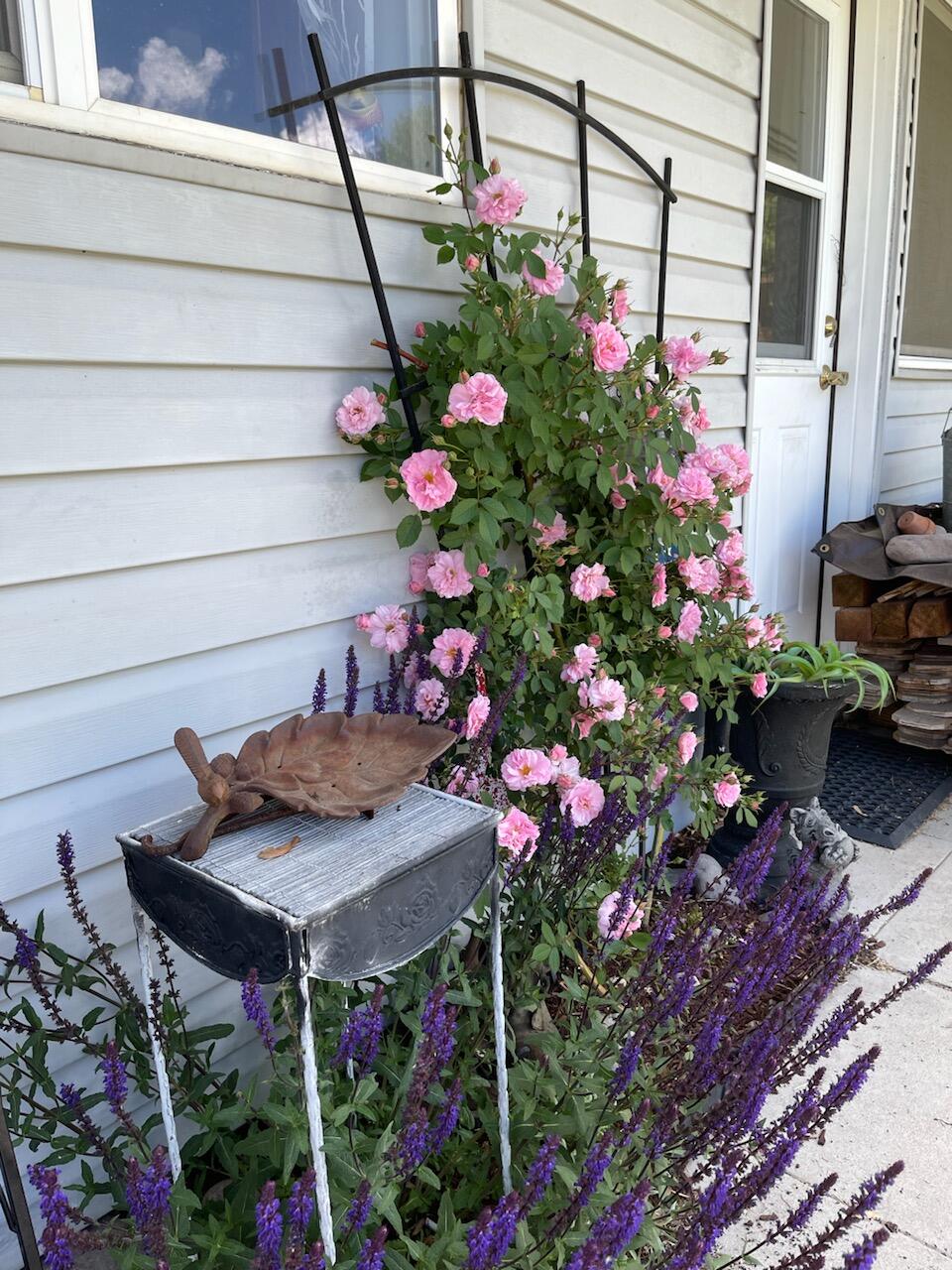 Falcon Heights Condominiums -Stage I - Residential