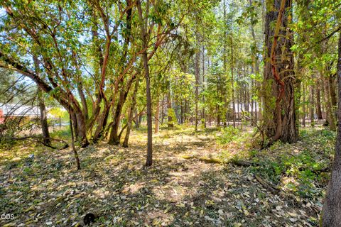Tiny photo for 188 Verde Lane, Merlin, OR 97532 (MLS # 220225393)