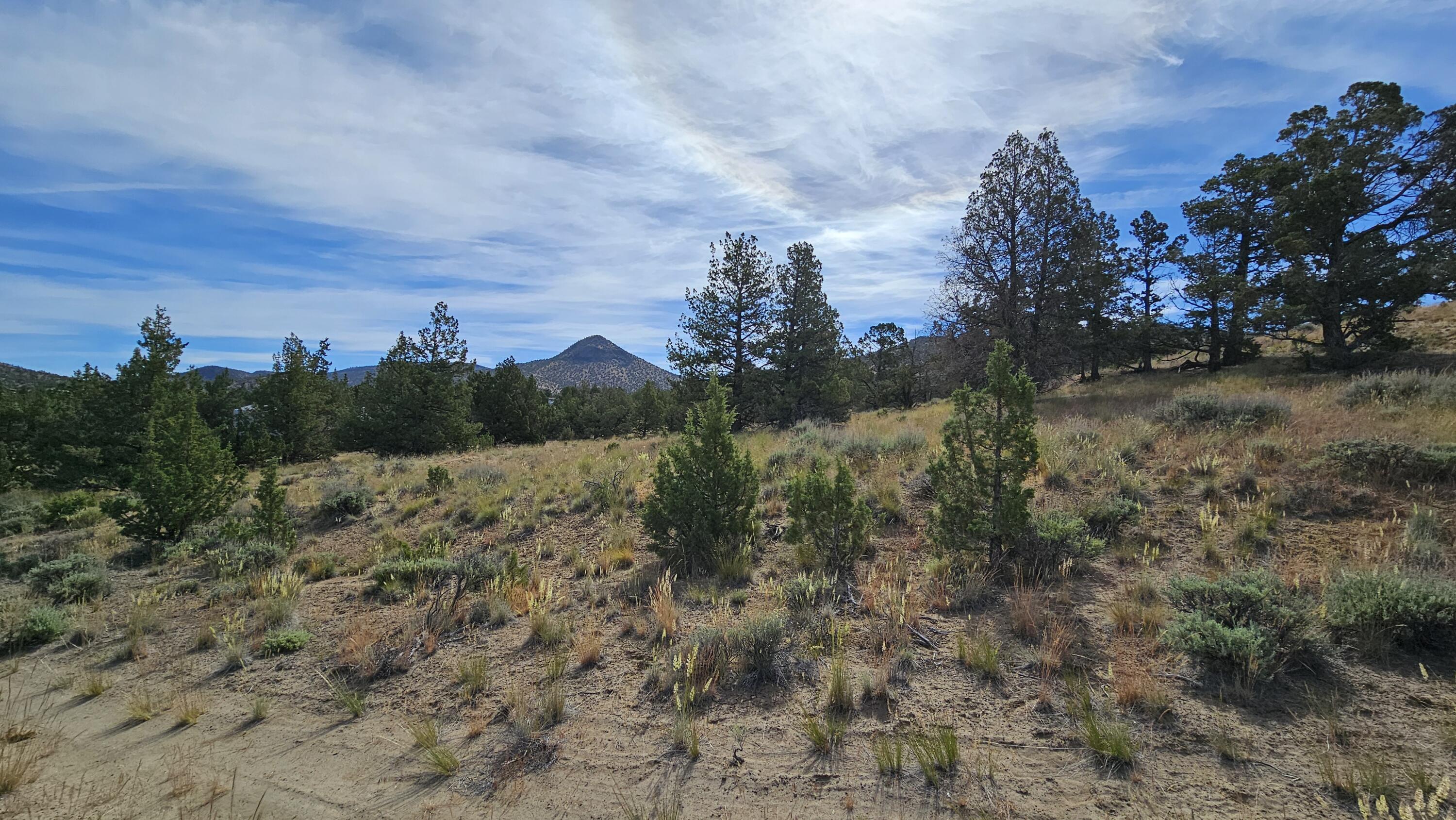 Powell Butte View - Land