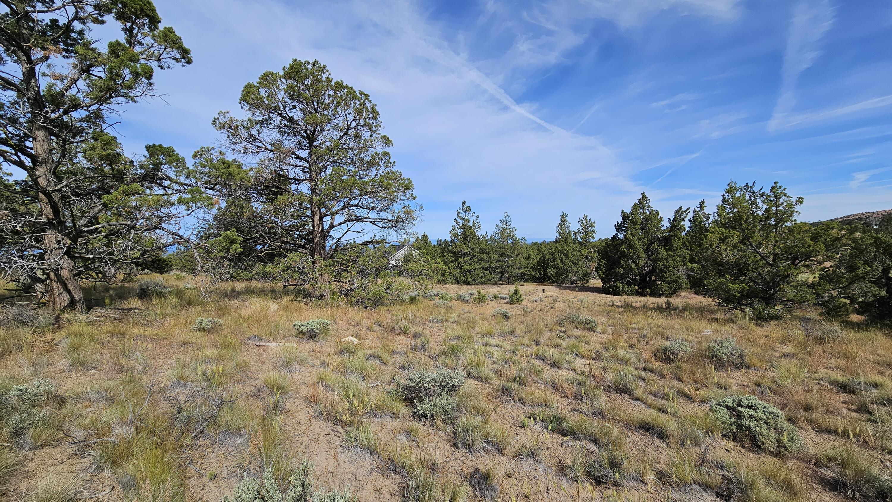 Powell Butte View - Land