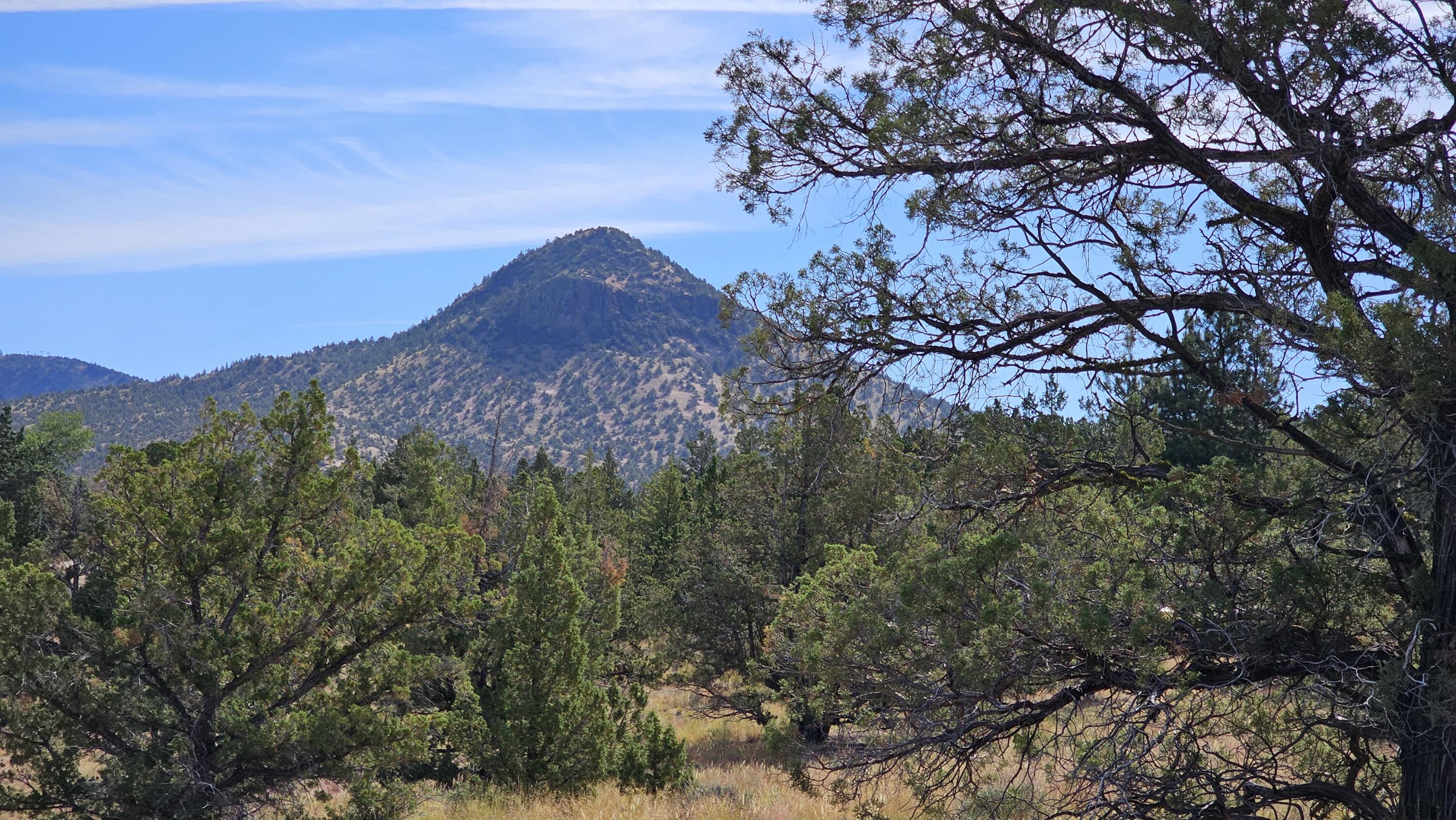 0 SW Antelope Drive Lot 15