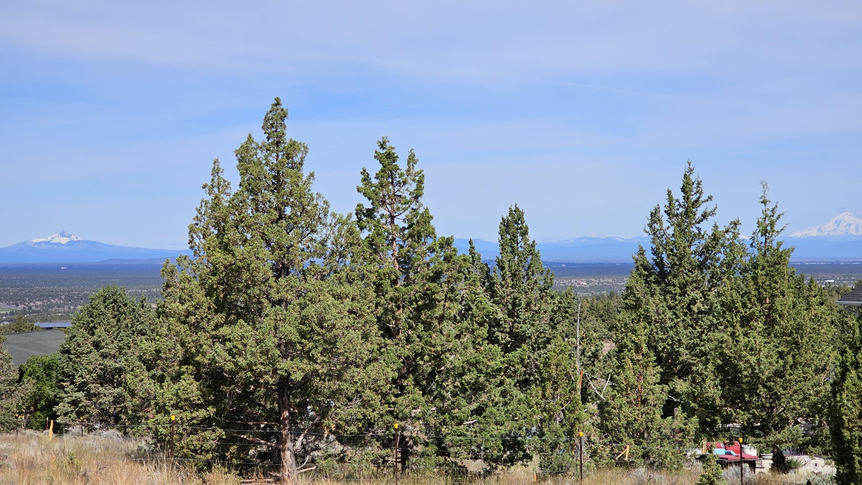 Powell Butte View - Land