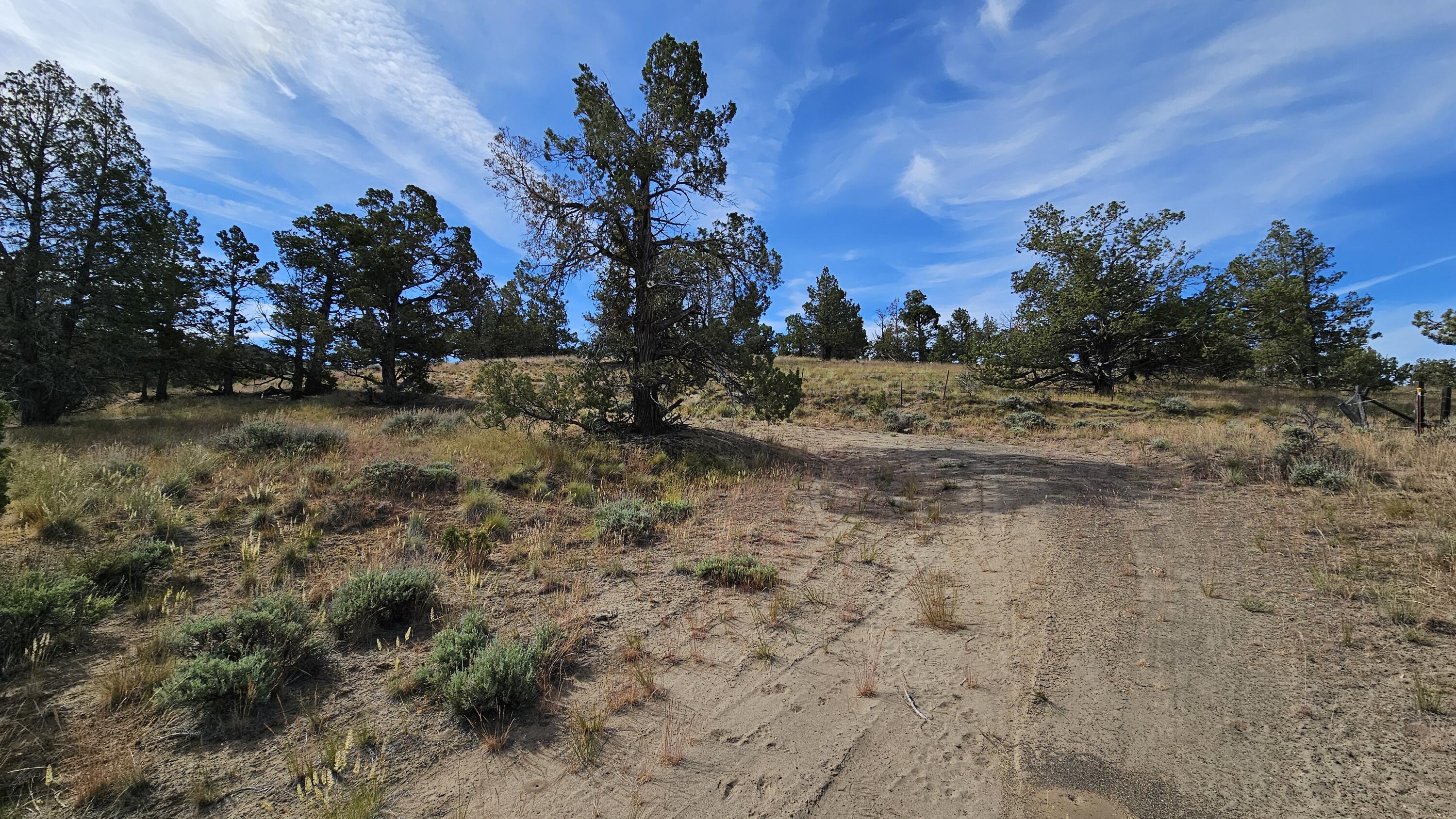 Powell Butte View - Land