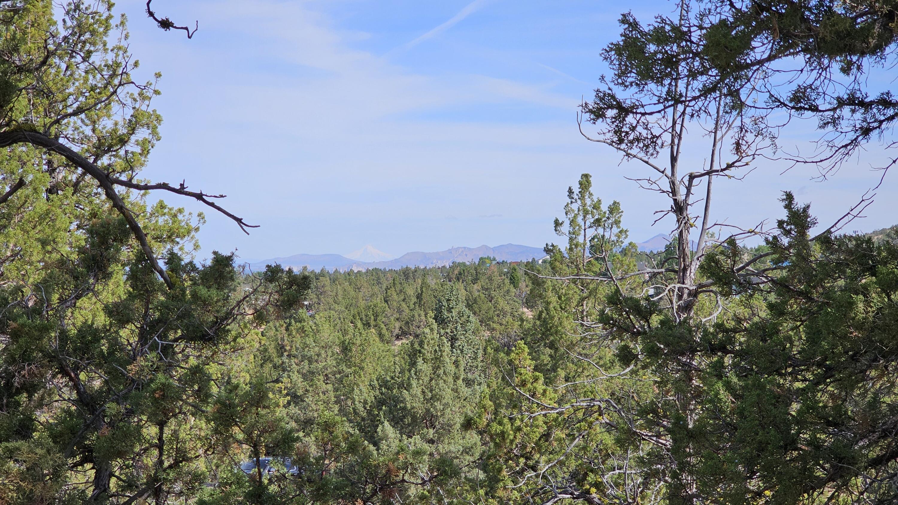 Powell Butte View - Land