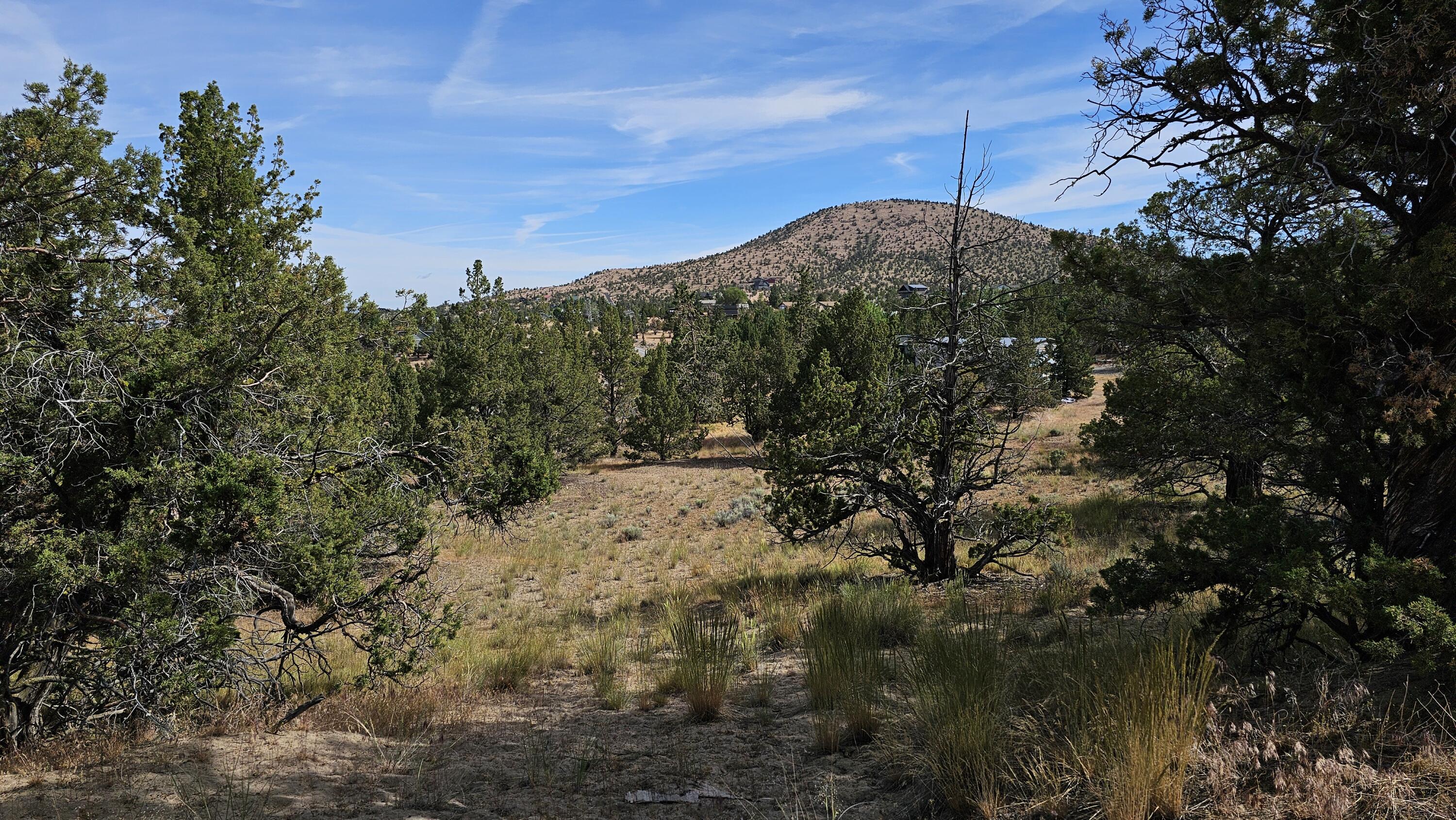 Powell Butte View - Land