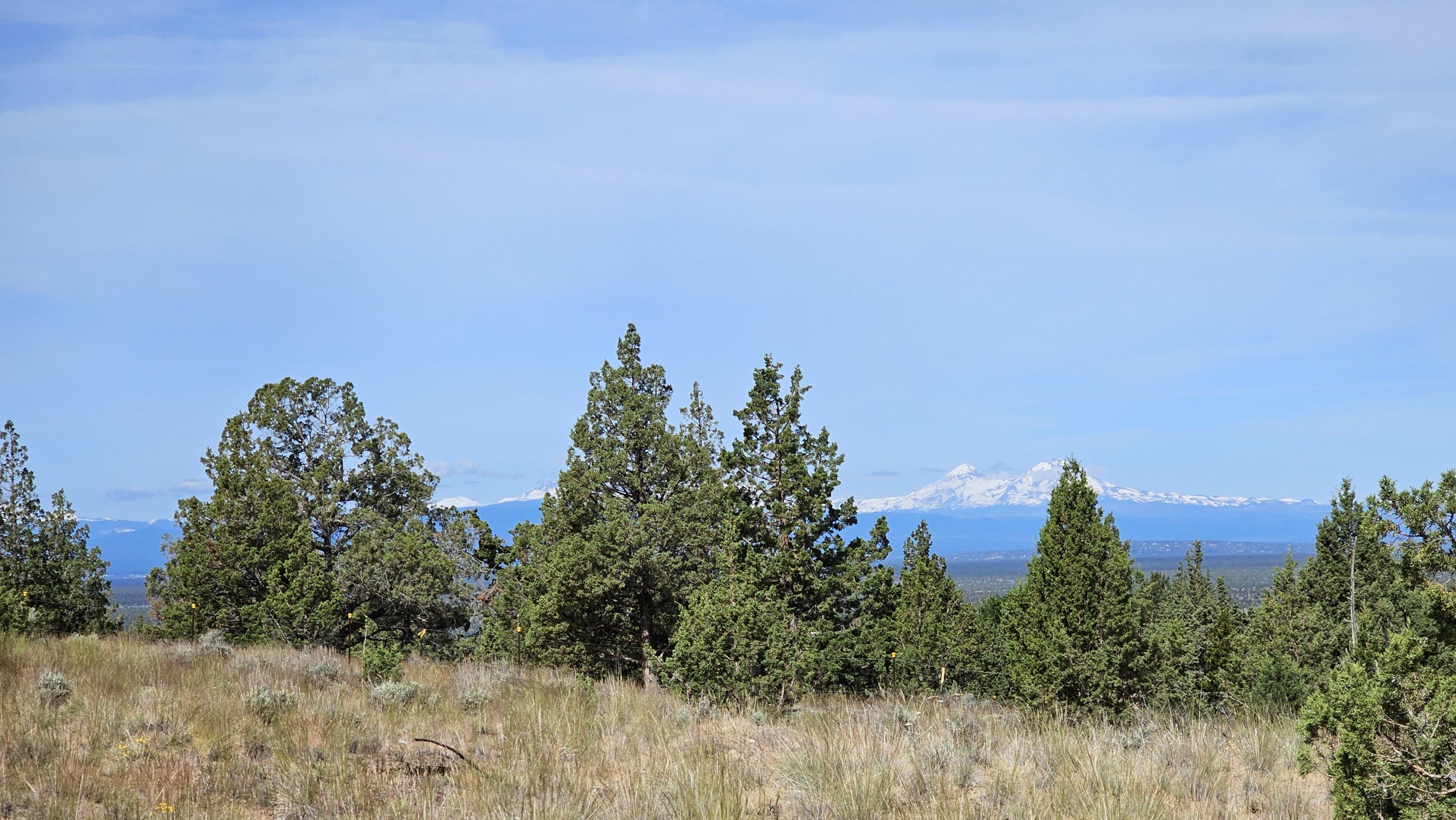 Powell Butte View - Land