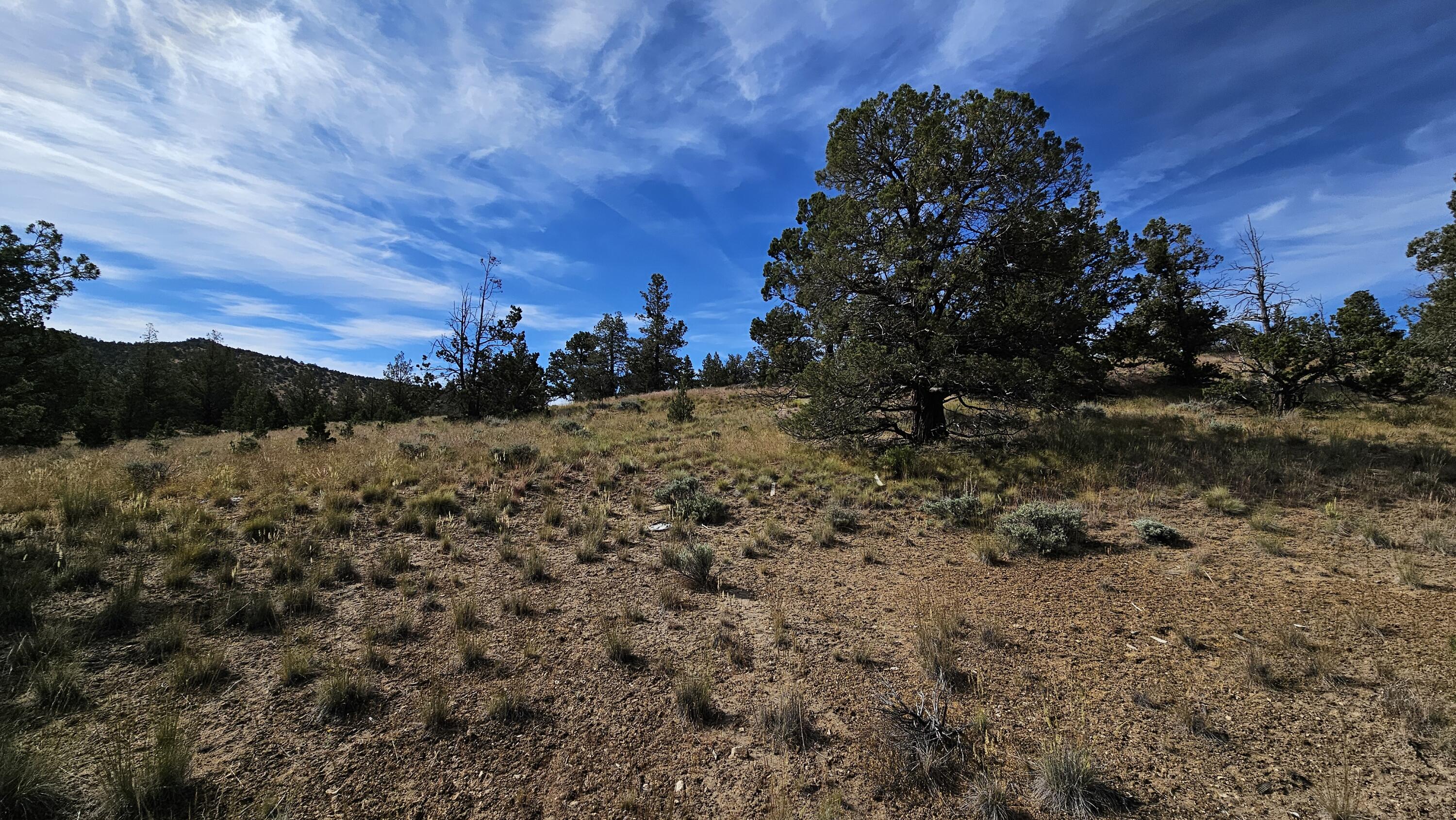 Powell Butte View - Land