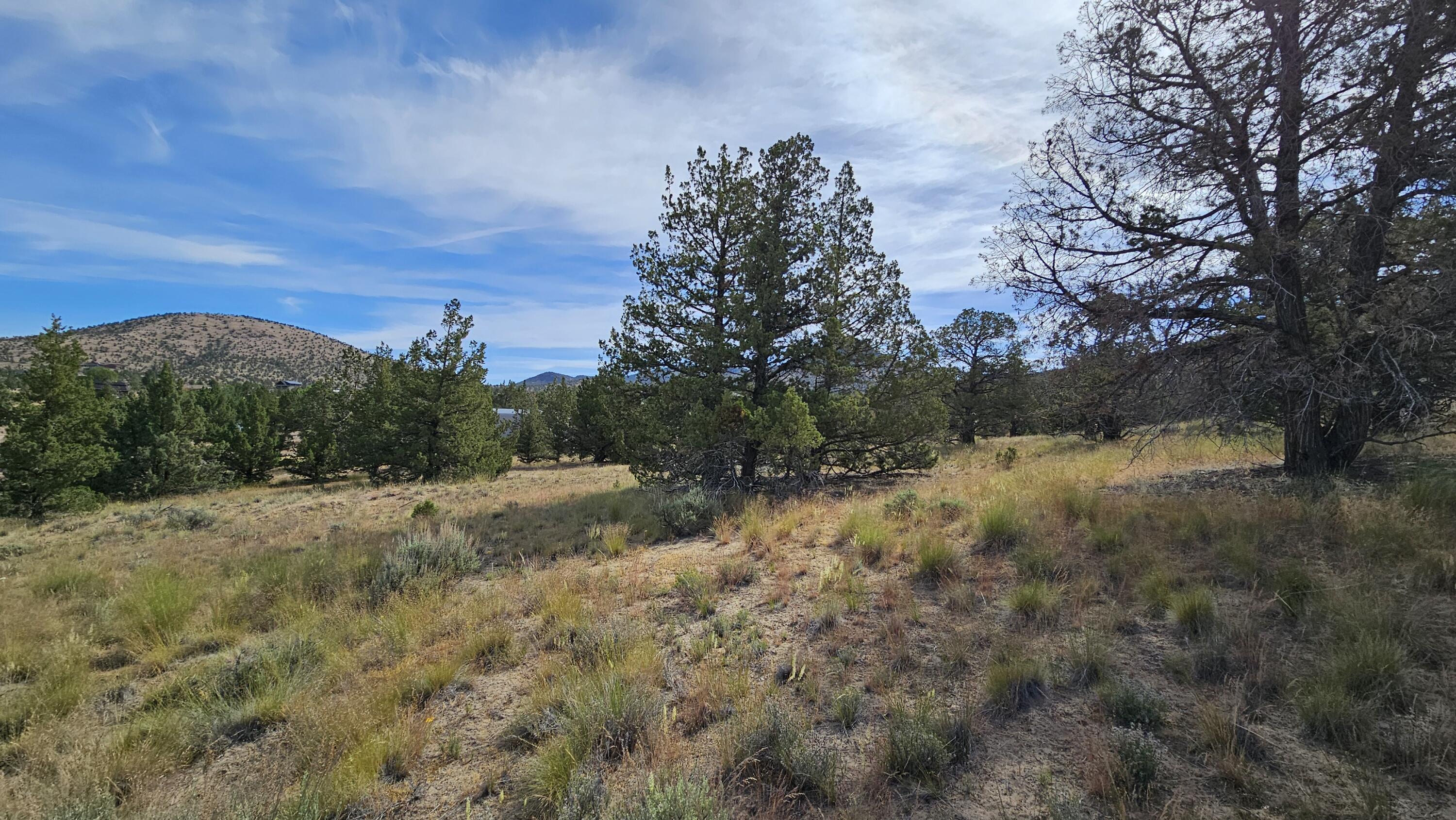 Powell Butte View - Land