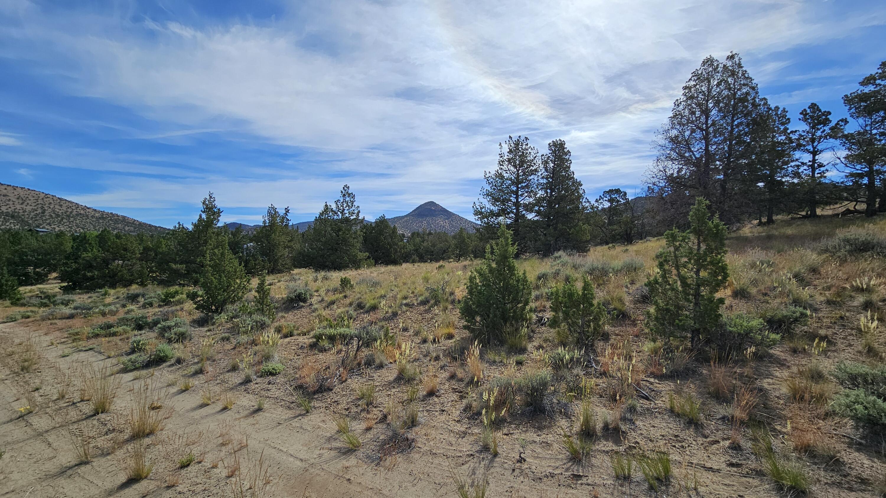 Powell Butte View - Land