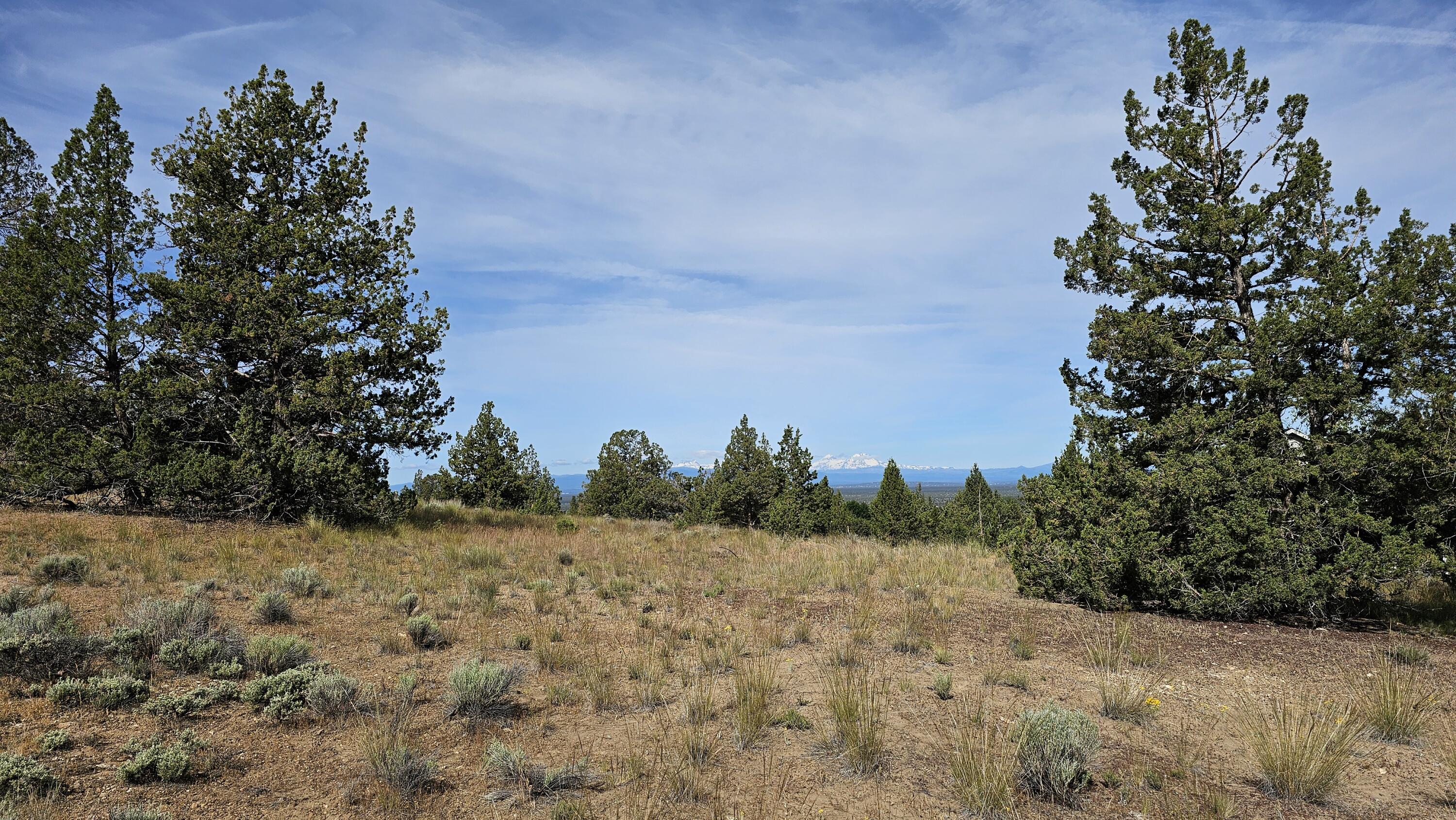 Powell Butte View - Land