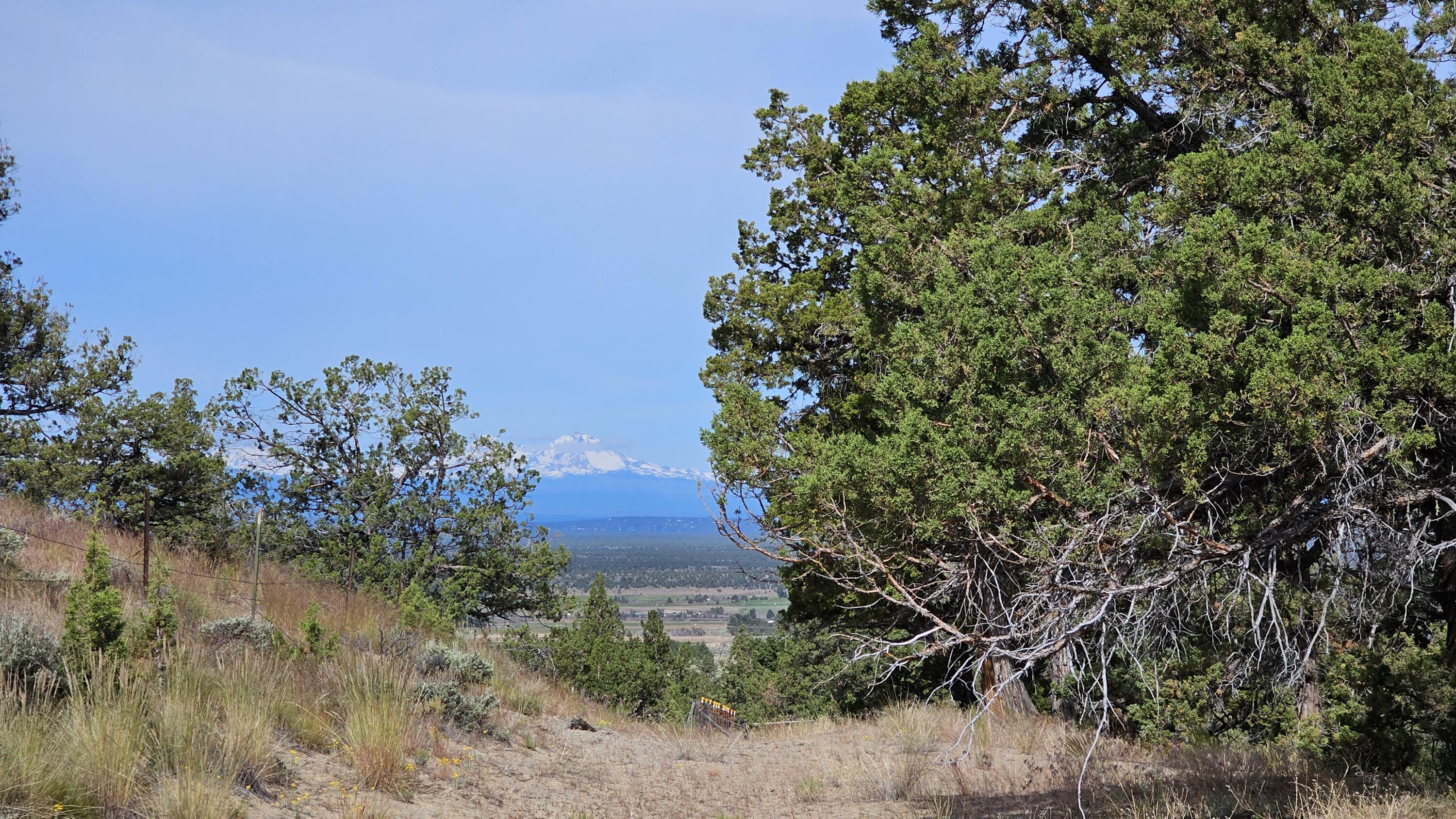 Powell Butte View - Land