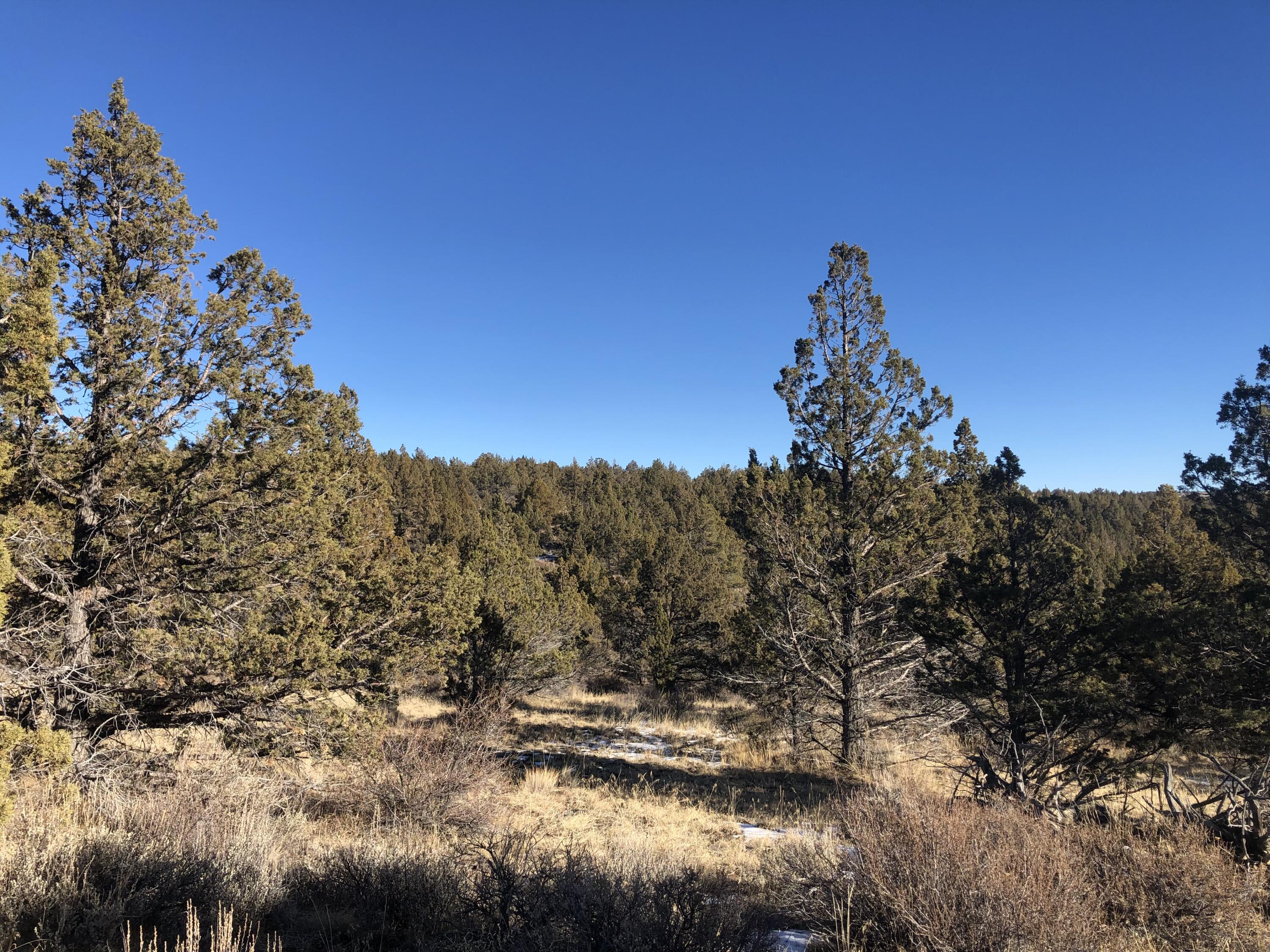 Ochoco Land + Livest - Land