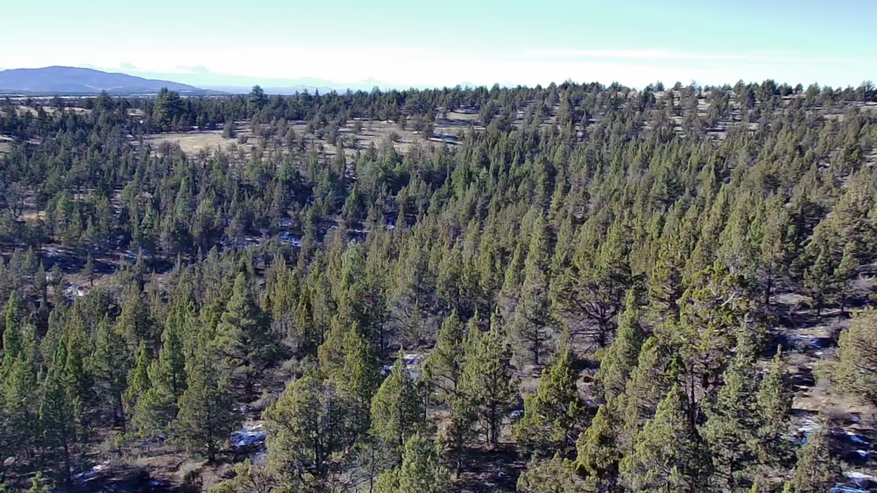 Ochoco Land + Livest - Land