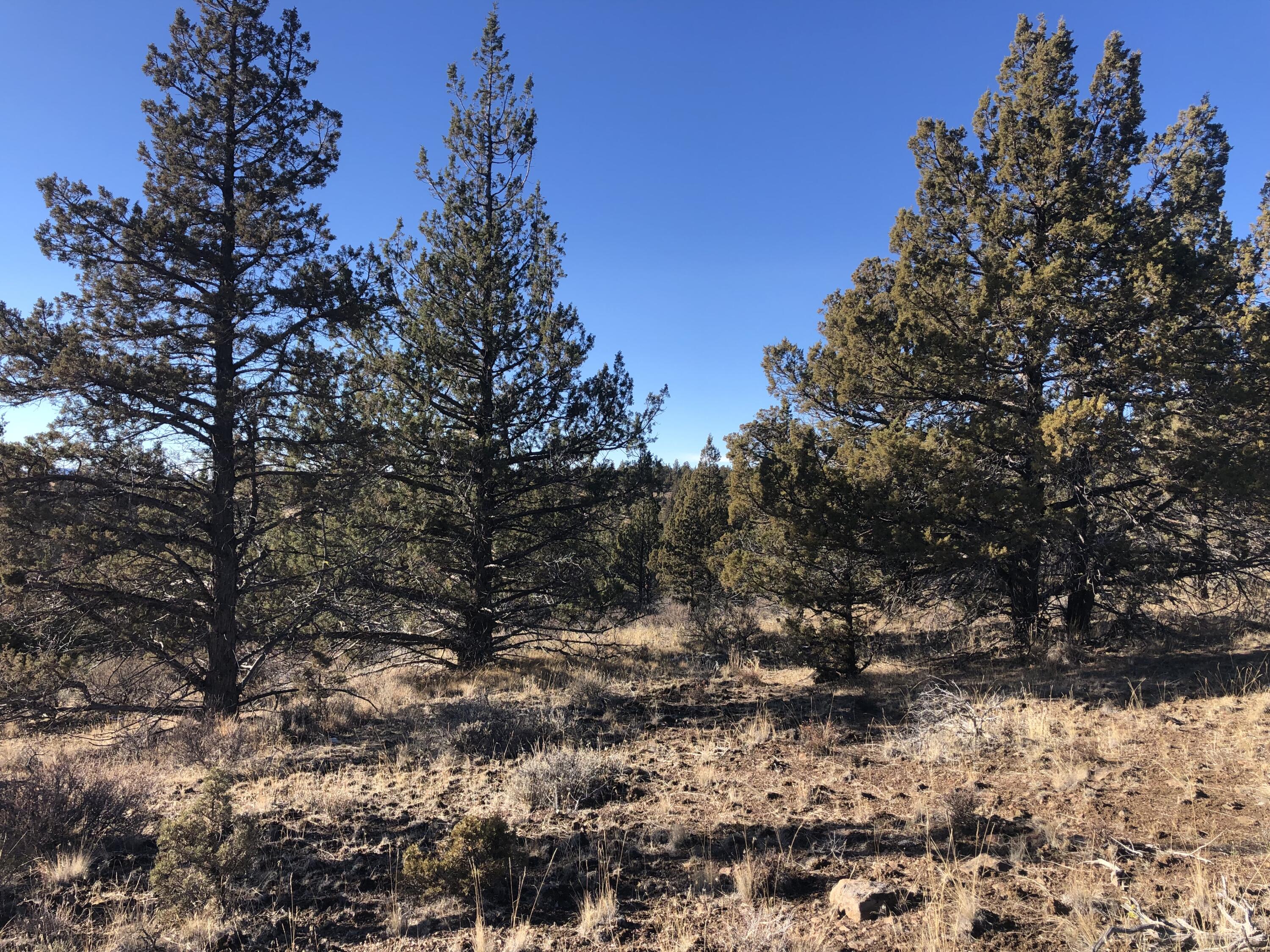 Ochoco Land + Livest - Land