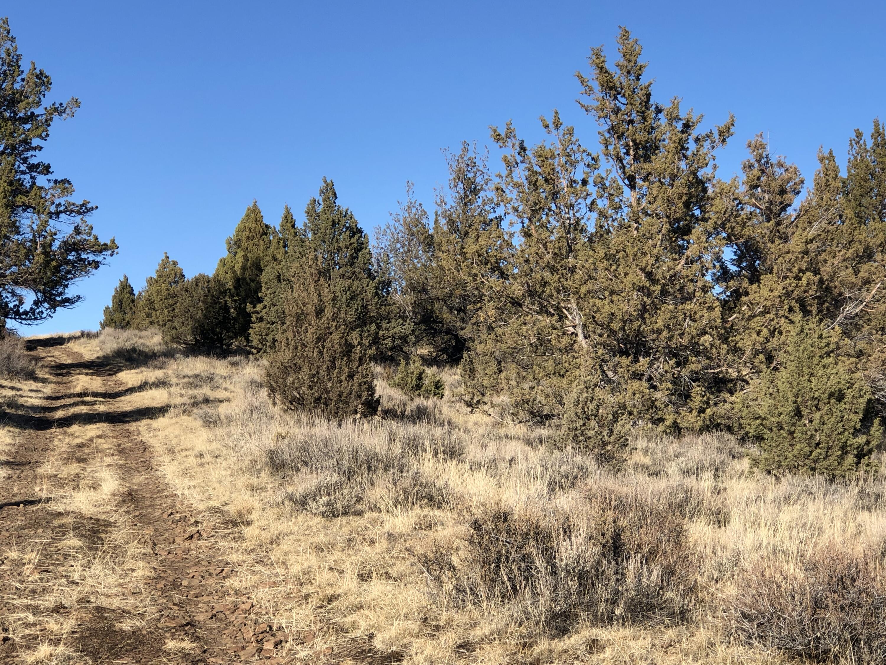 Ochoco Land + Livest - Land