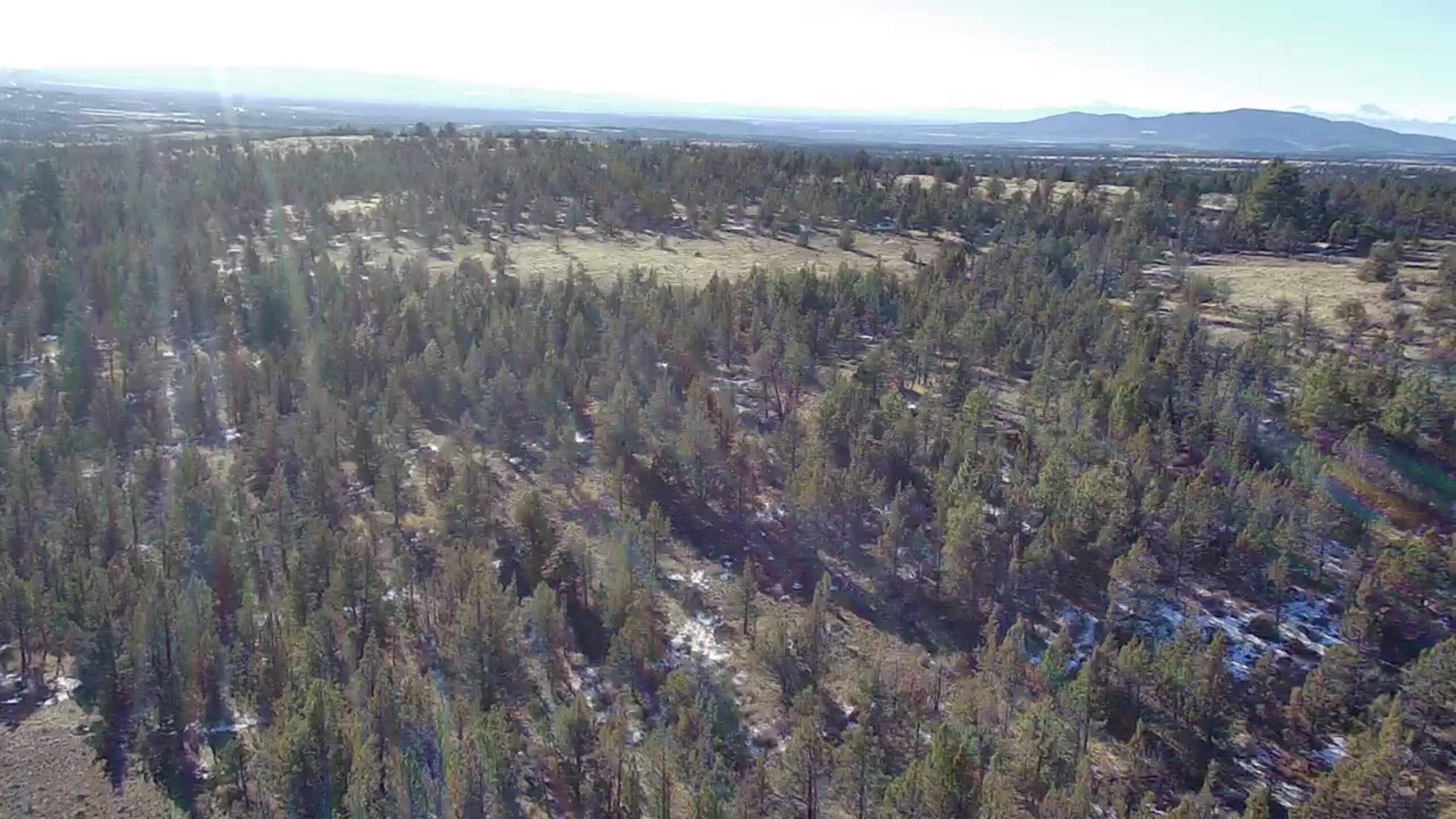 Ochoco Land + Livest - Land