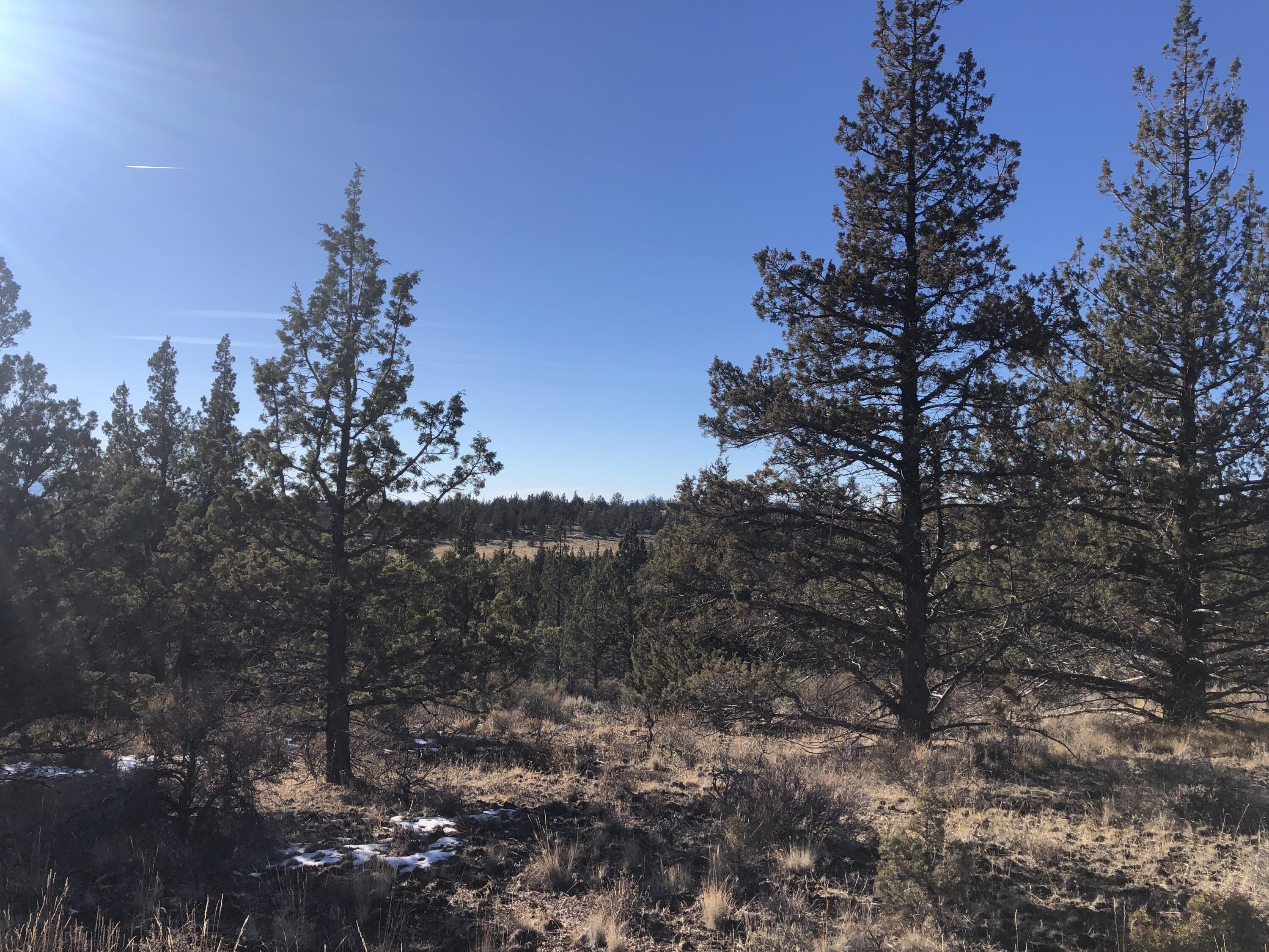 Ochoco Land + Livest - Land