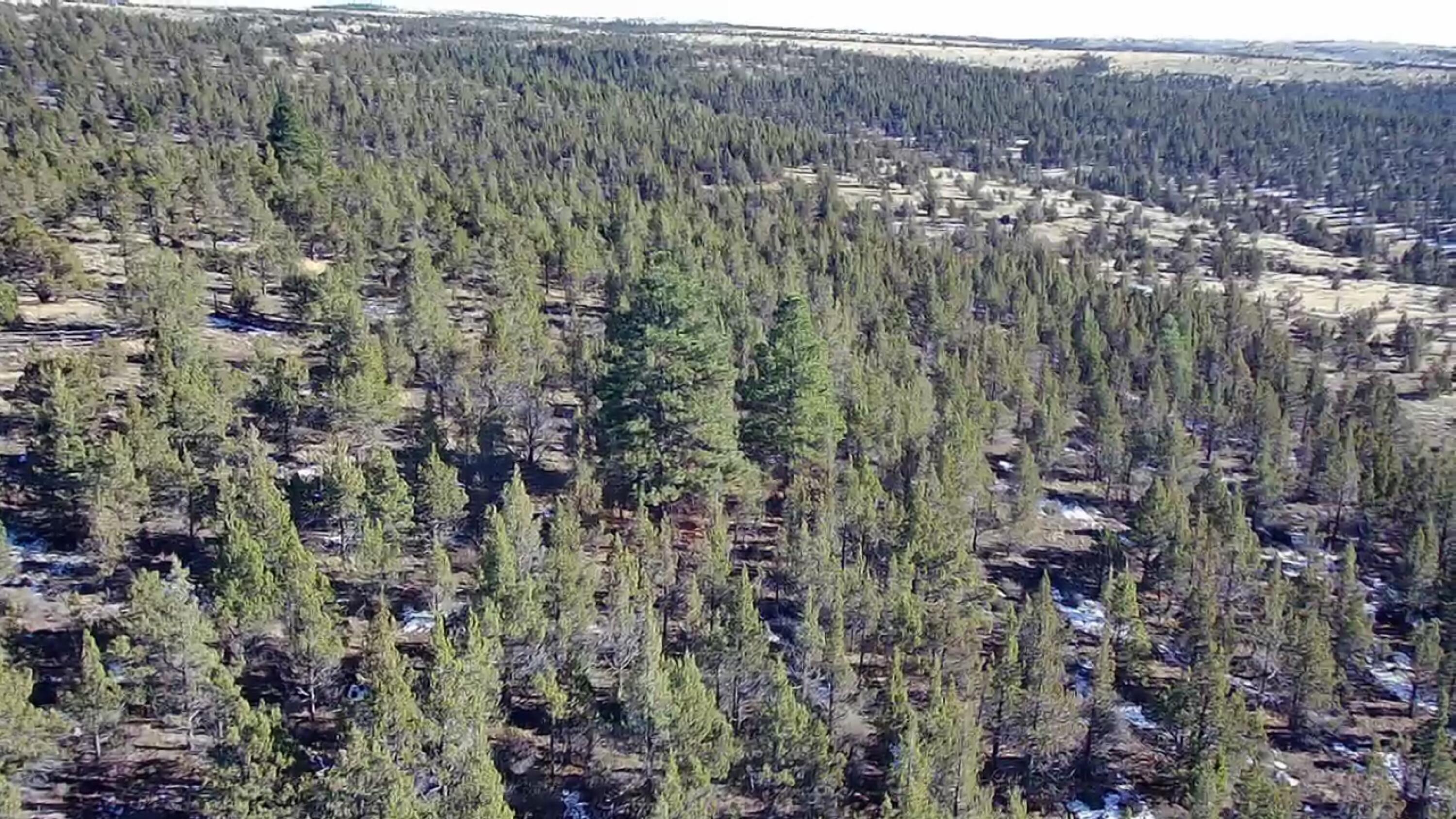 Ochoco Land + Livest - Land