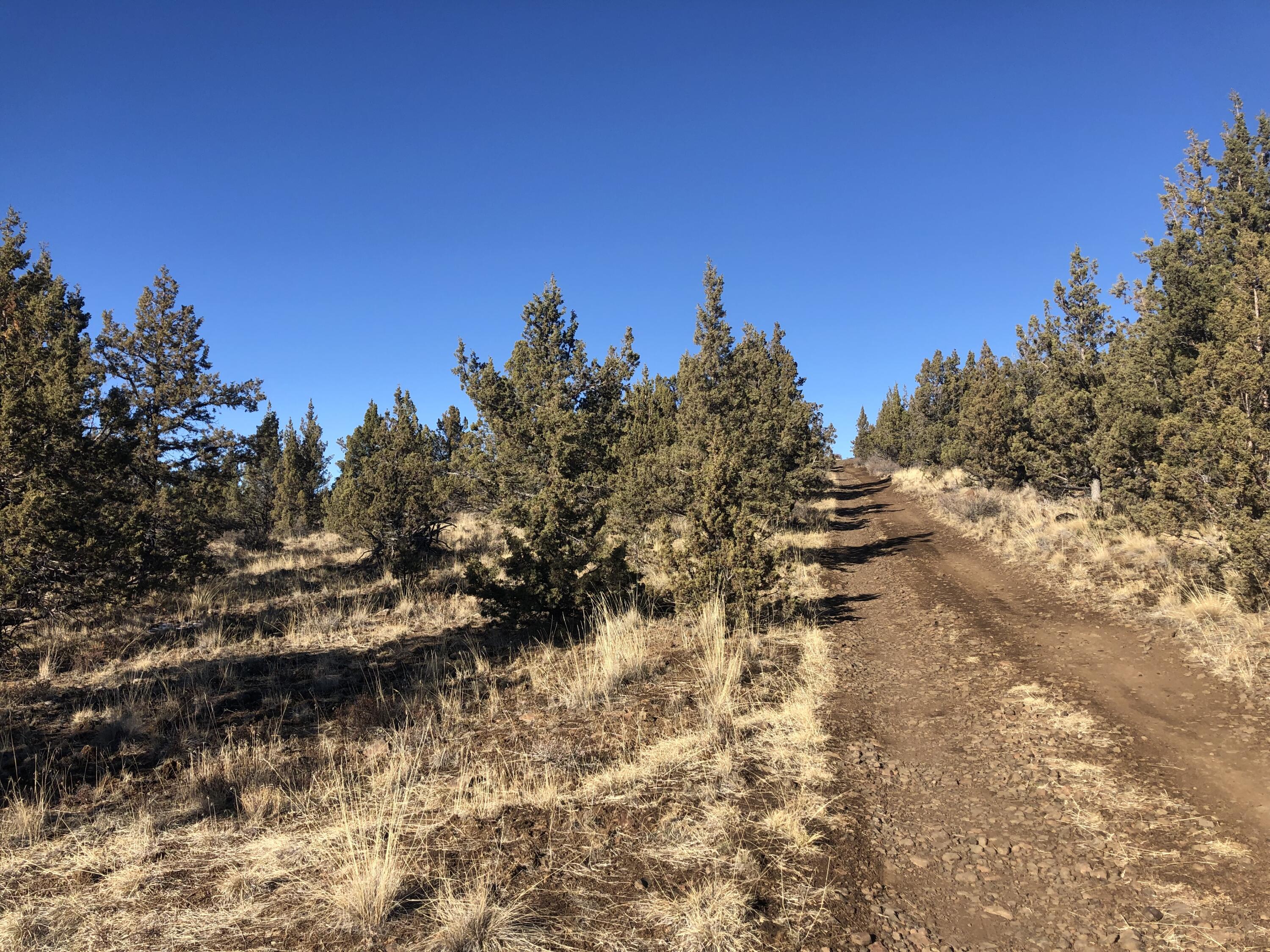 Ochoco Land + Livest - Land