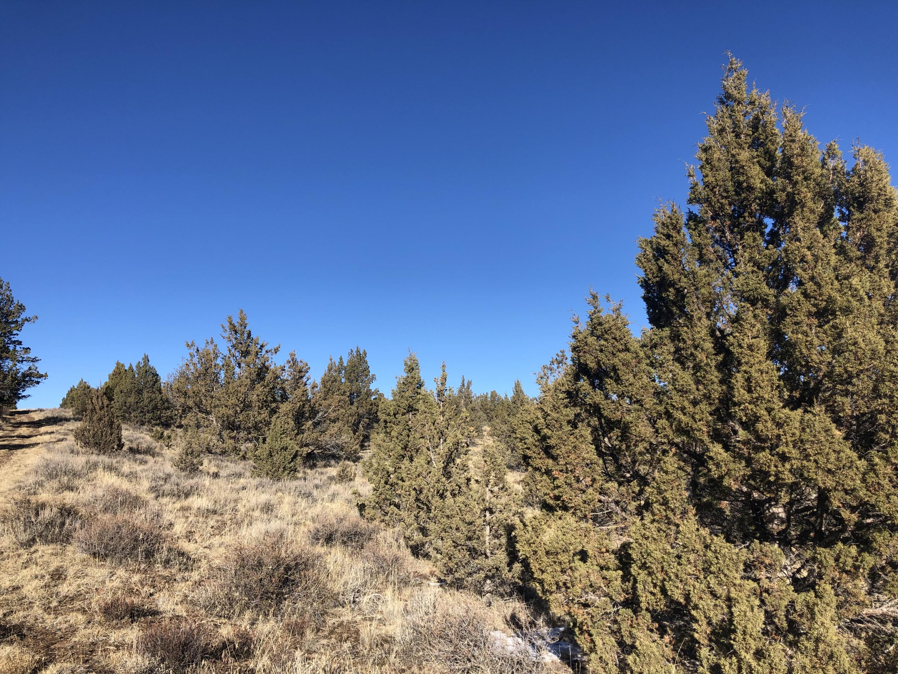 Ochoco Land + Livest - Land