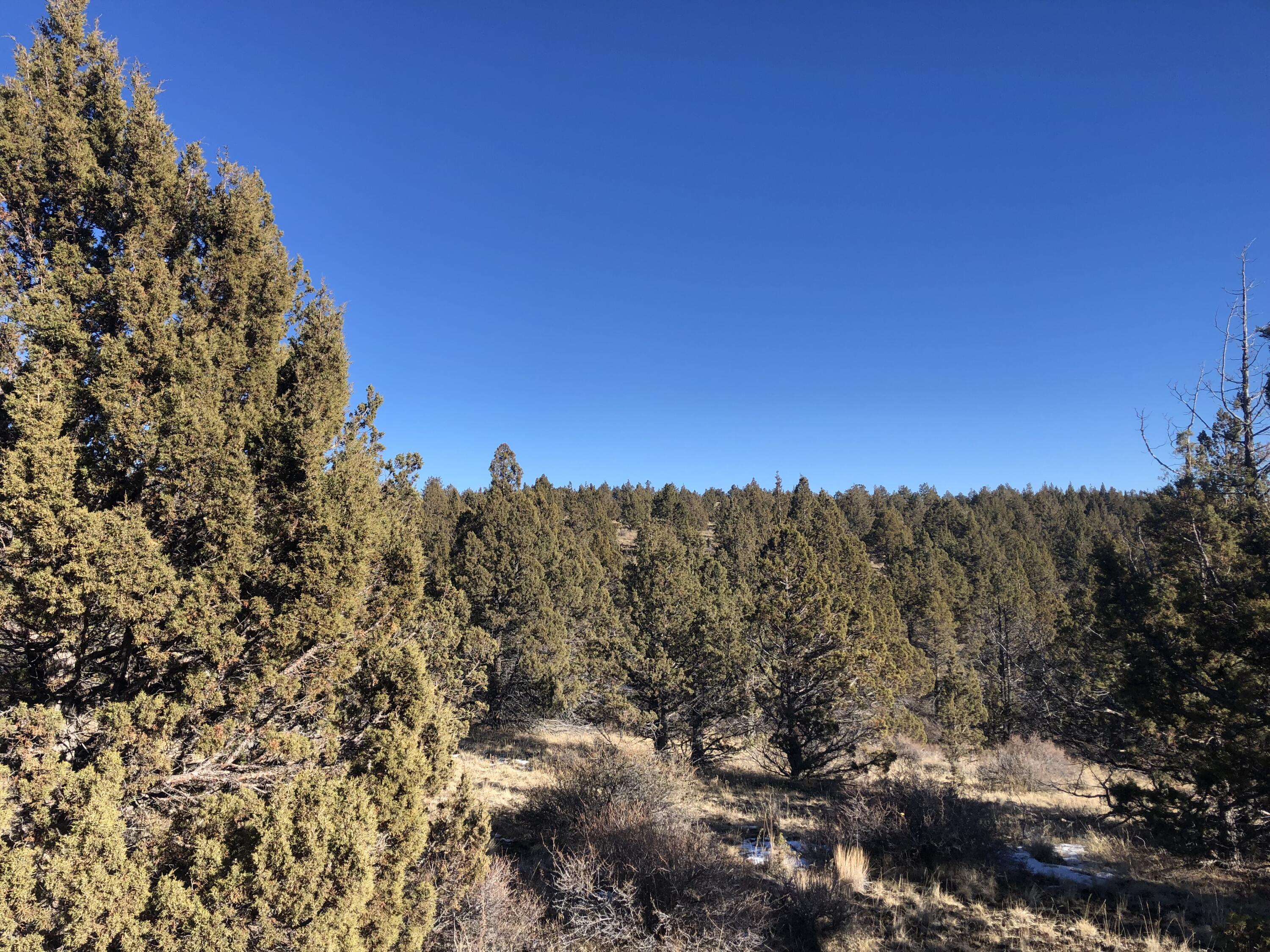 Ochoco Land + Livest - Land