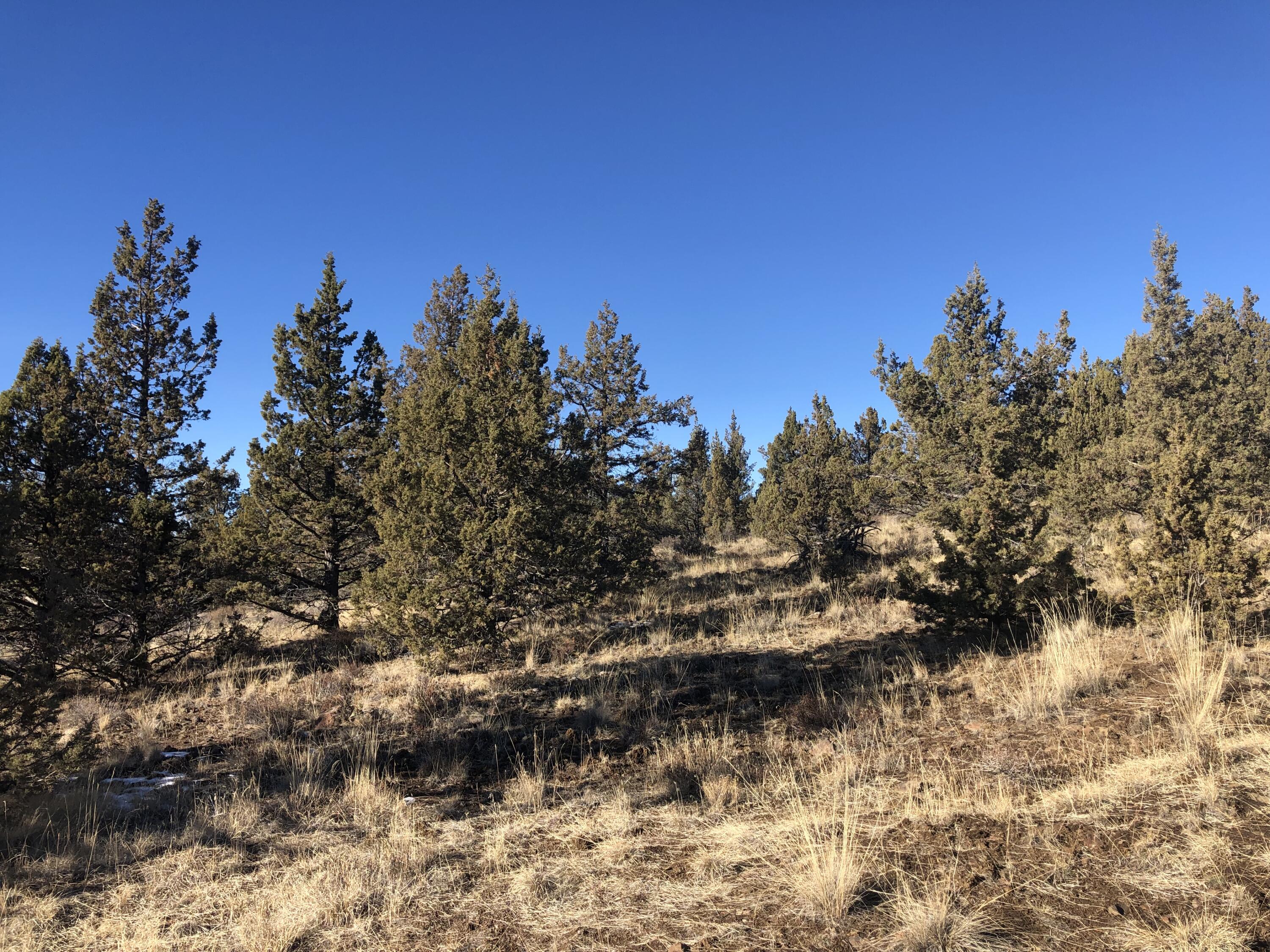 Ochoco Land + Livest - Land