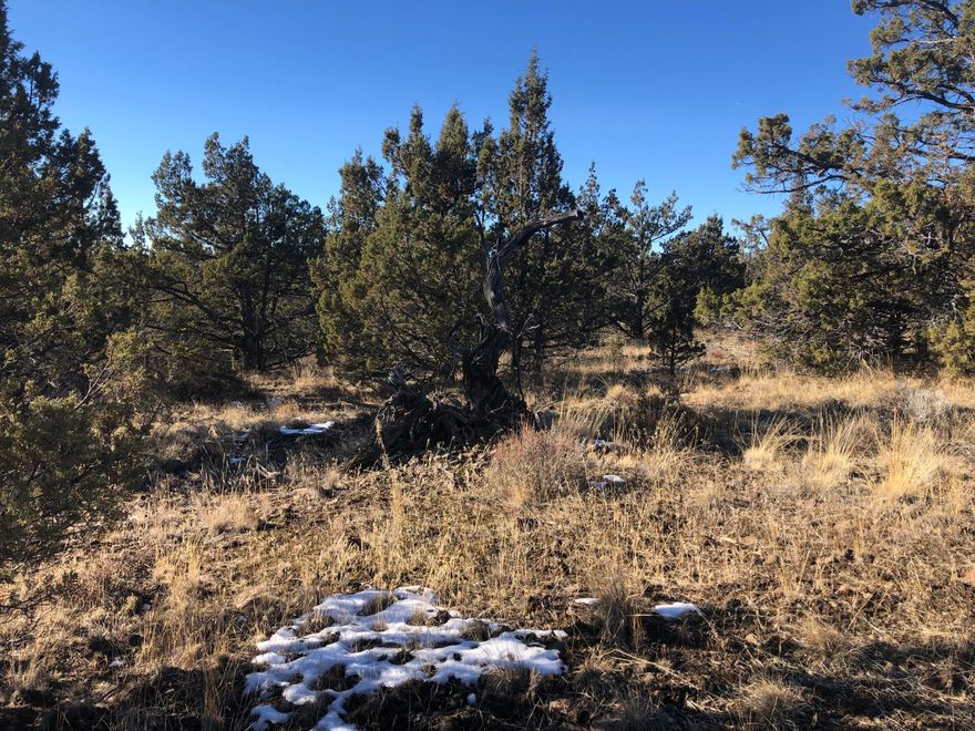 Ochoco Land & Livestock Subdivision ~ No CC&R's, No HOA, Zoned EFU2 so with county permission and permits you can build, develop and install a well and septic, go solar, with all the wonderous sunshine in Prineville, youd be totally off-grid with all your utilities. Several well developed neighbors with solar. Natural seasonal stream runs through the middle of this huge 20 acre parcel. Numerous huge Pines and Juniper trees, totally amazing how nice and moist the middle area is with the pines running through it. Expansive views adorn this lovely parcel. Clear mountain views all around. Decent road access. Road on east side of property and west side. Great access for property. Nice!! Build a main ranch house and a mother in law home. Plenty of room.
Check with county for all desired (ideas) & approvals.  Map it, easy to find.
GPS
-120.722
44.242