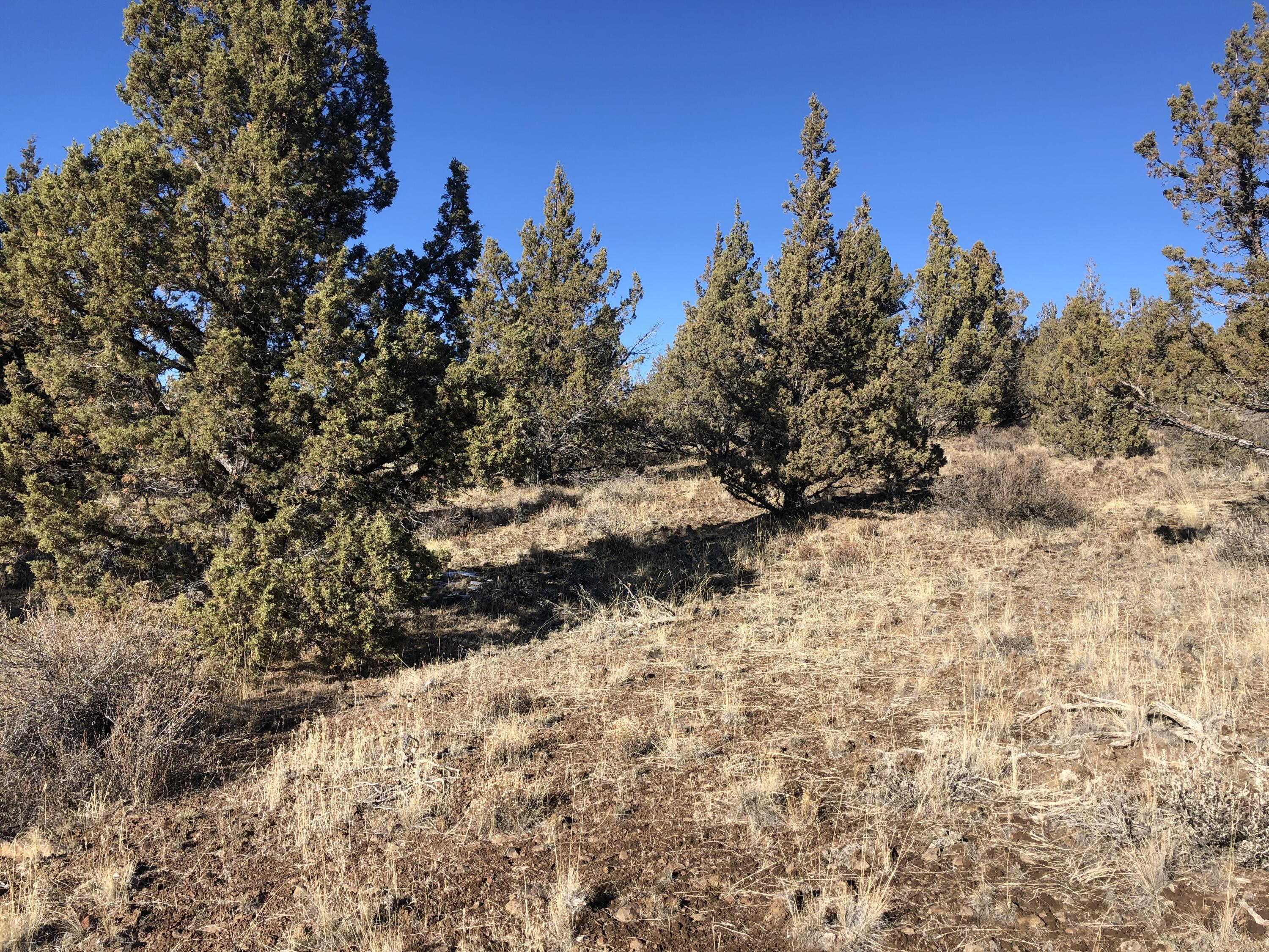 Ochoco Land + Livest - Land