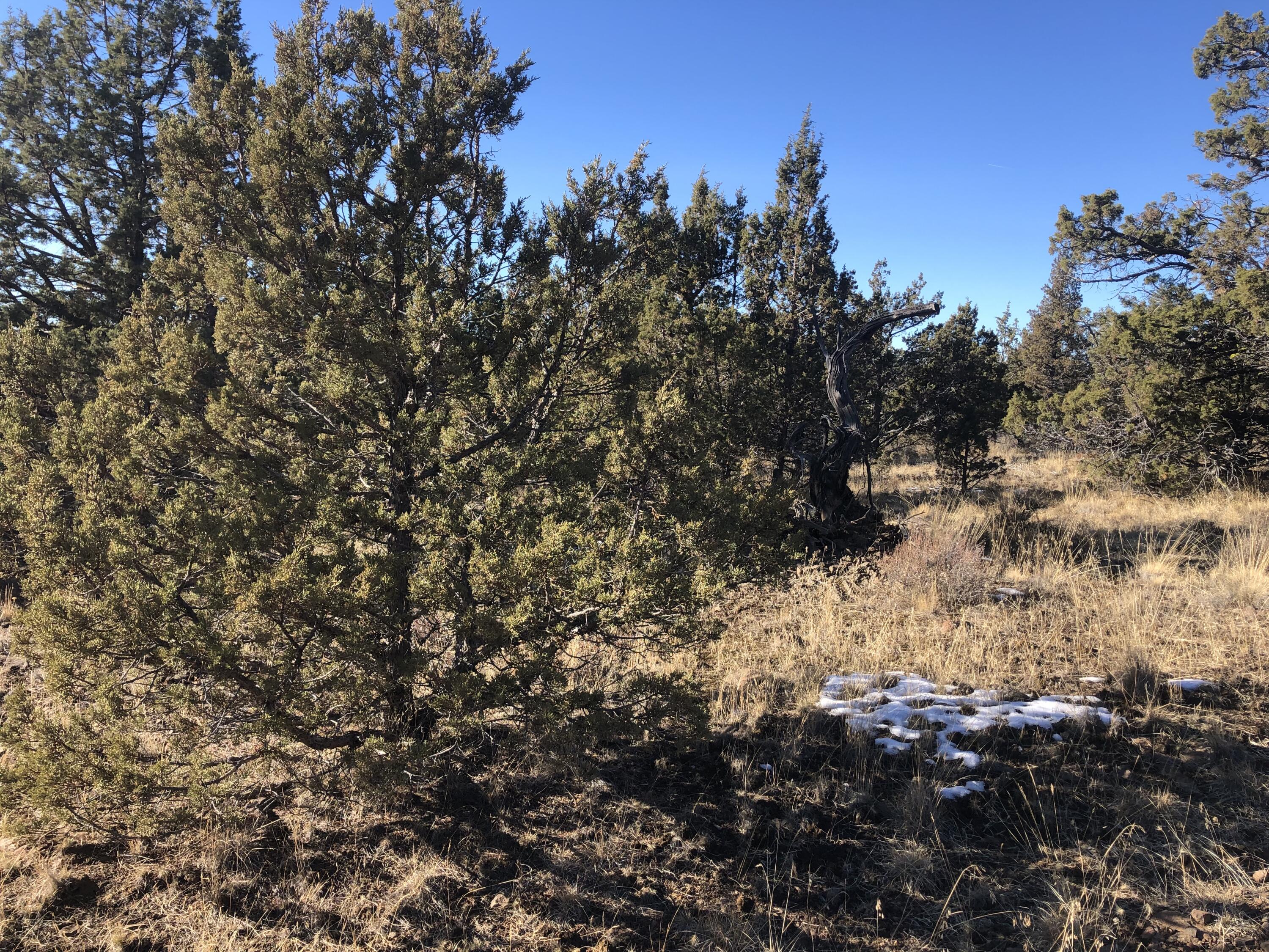 Ochoco Land + Livest - Land