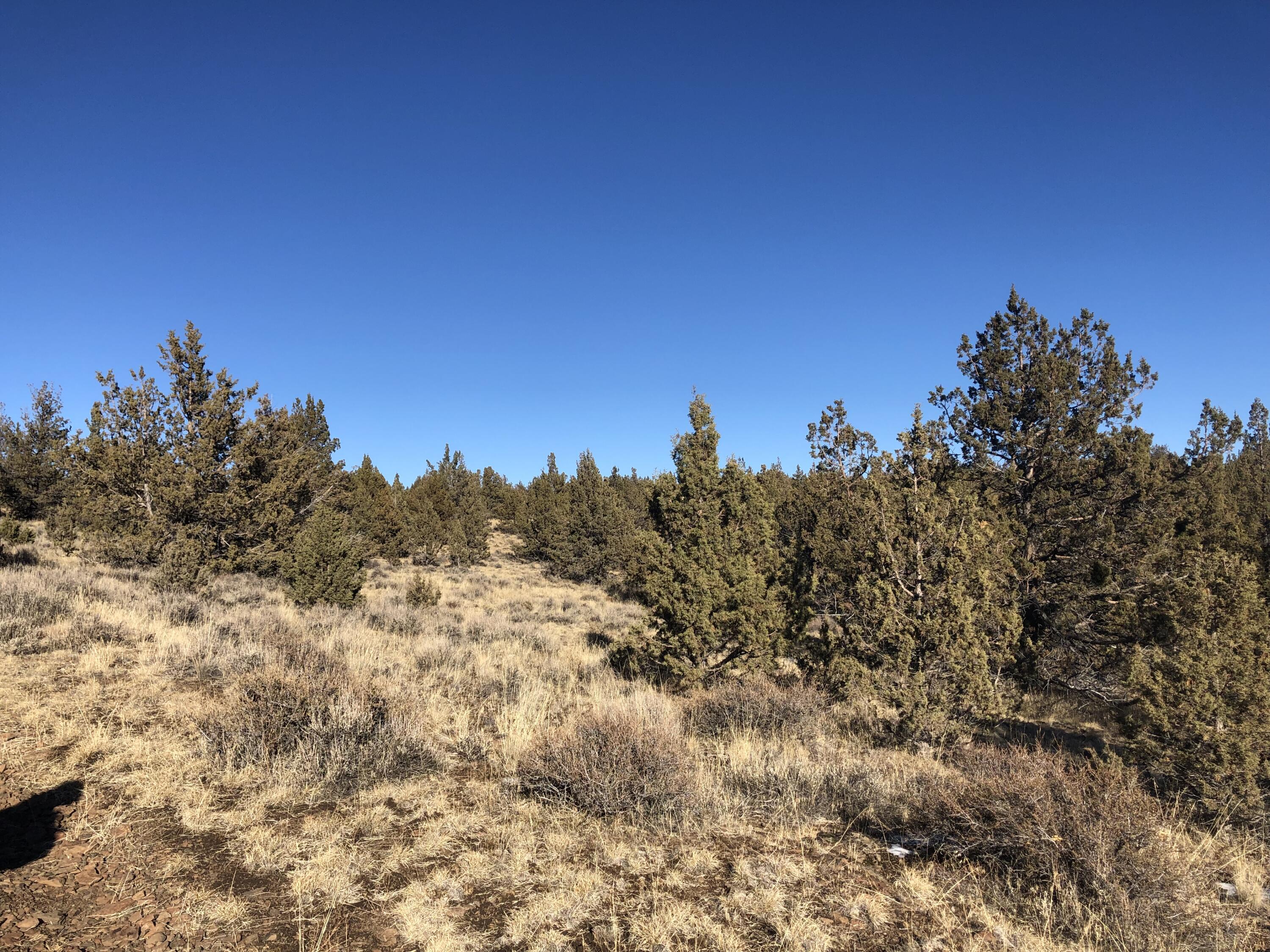 Ochoco Land + Livest - Land