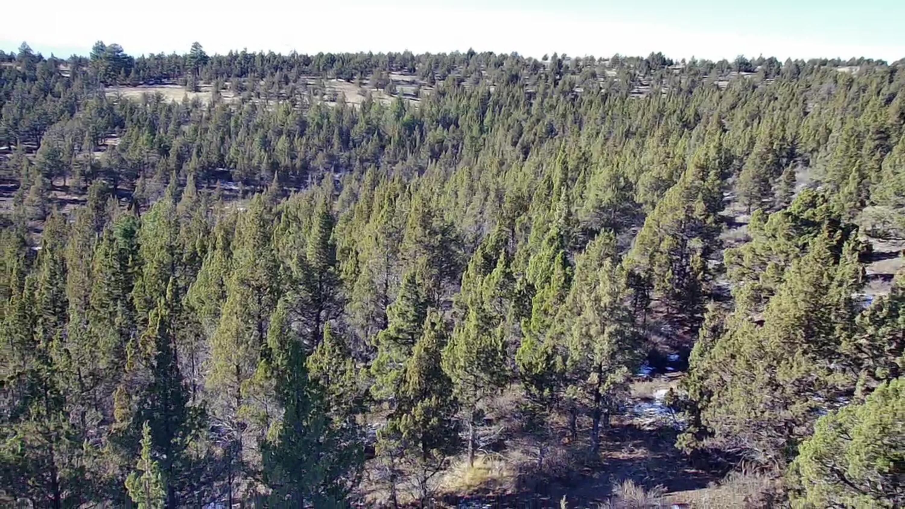 Ochoco Land + Livest - Land