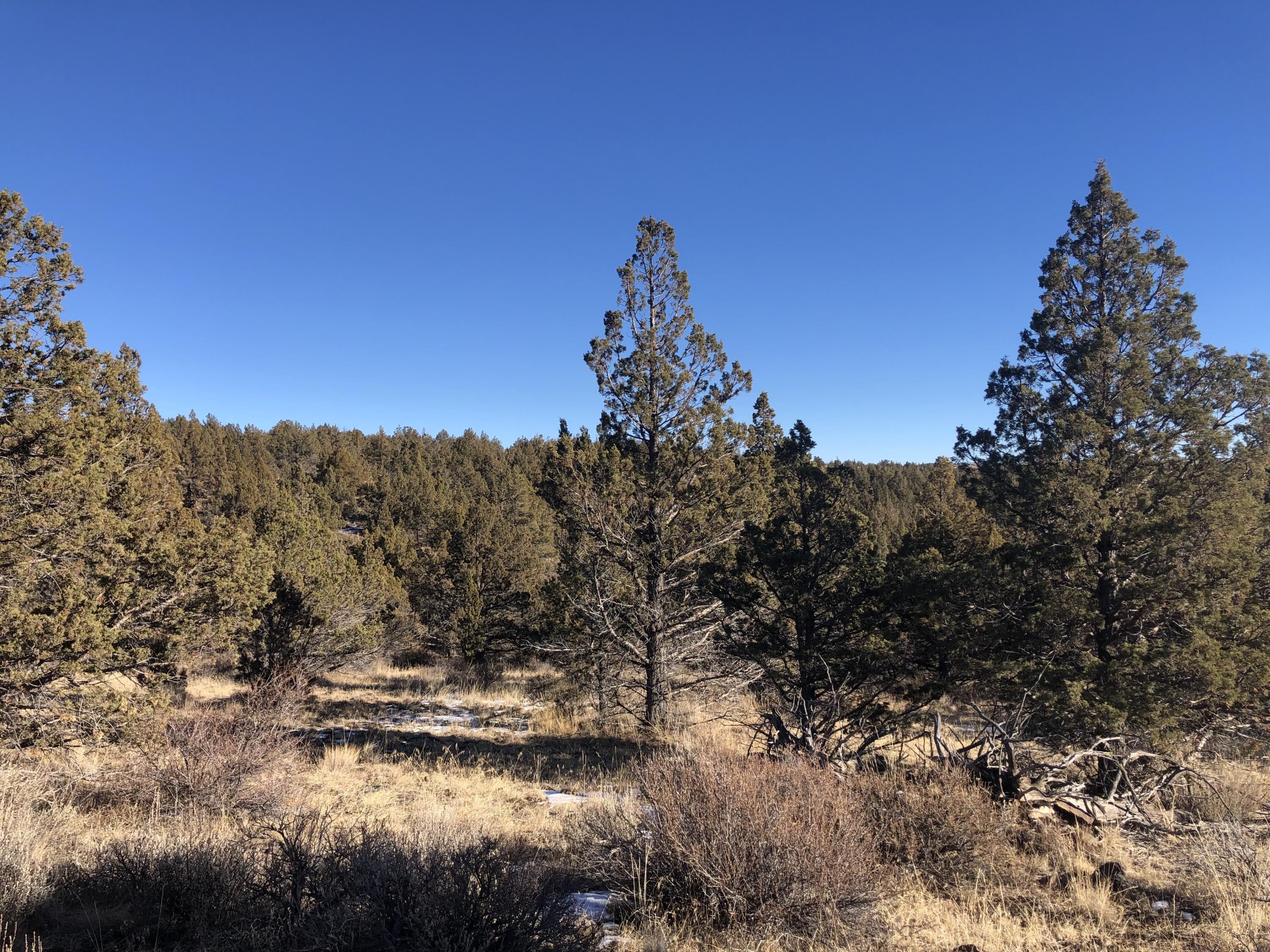 Ochoco Land + Livest - Land