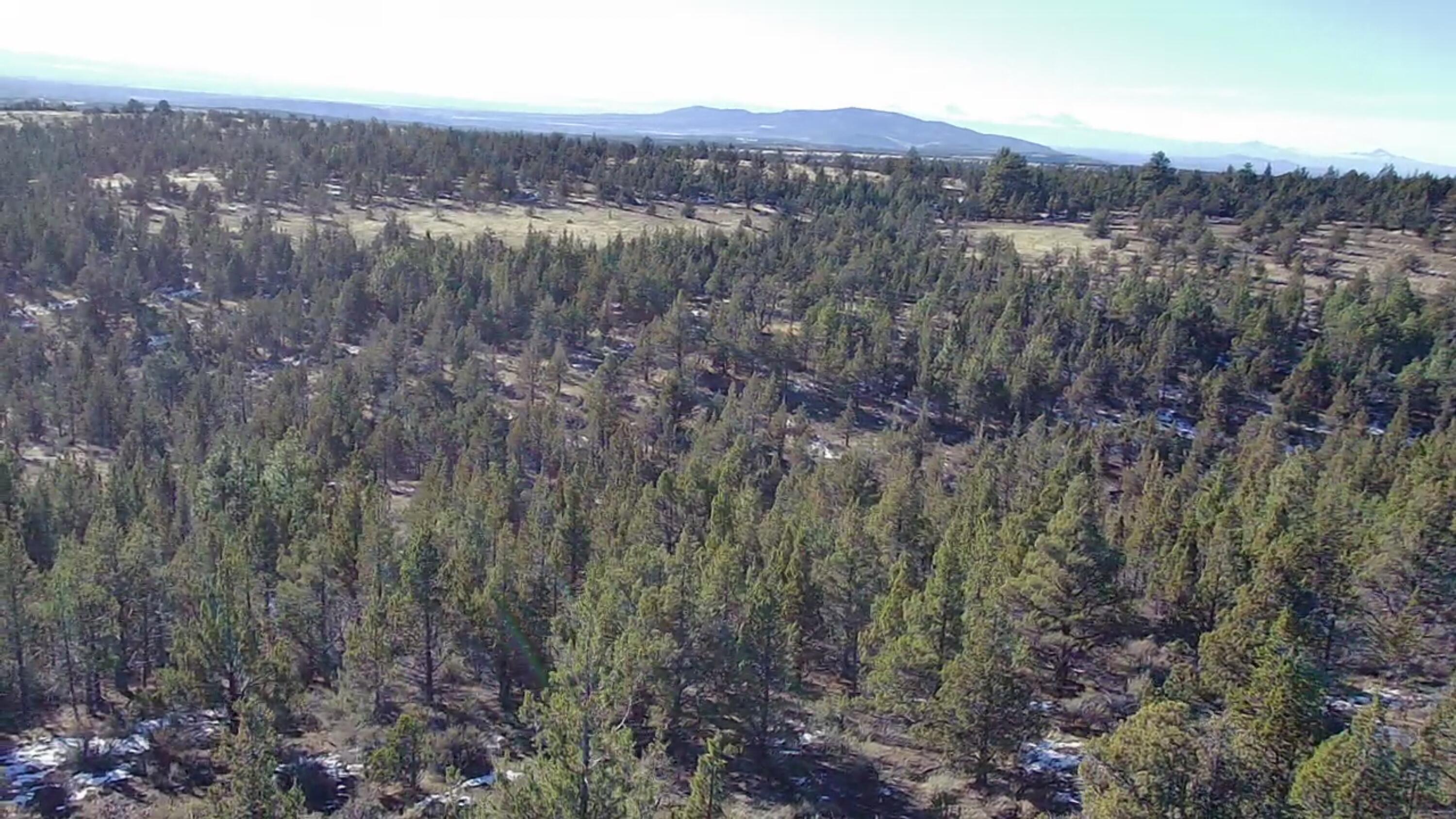 Ochoco Land + Livest - Land